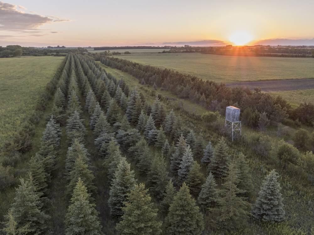 509.51 Acres, 11999 58th St SE, Fort Ransom, ND 58033 Land and Farm