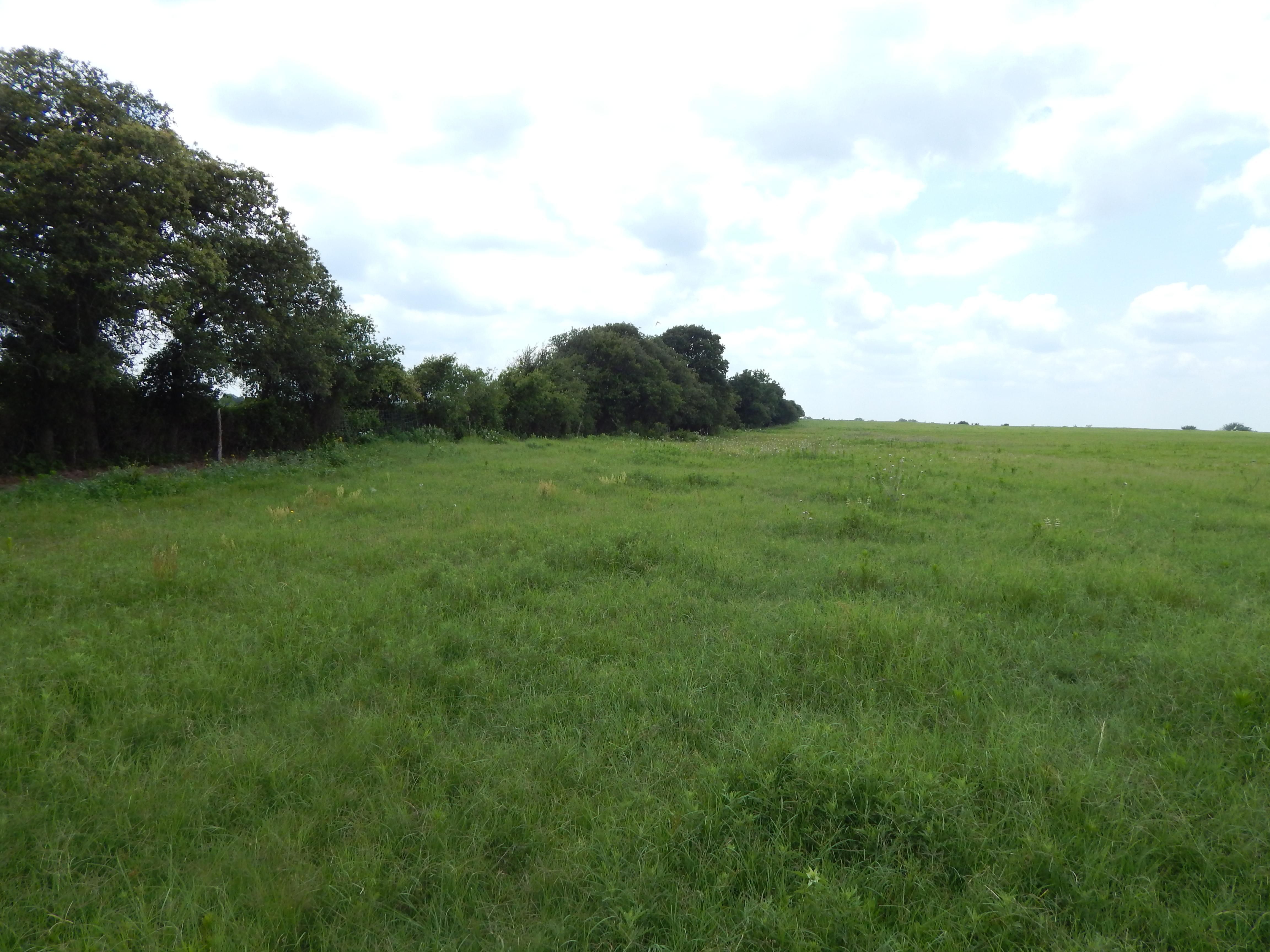 80 Acres, 21899 County Road 441, Rising Star, TX 76471 Land and Farm