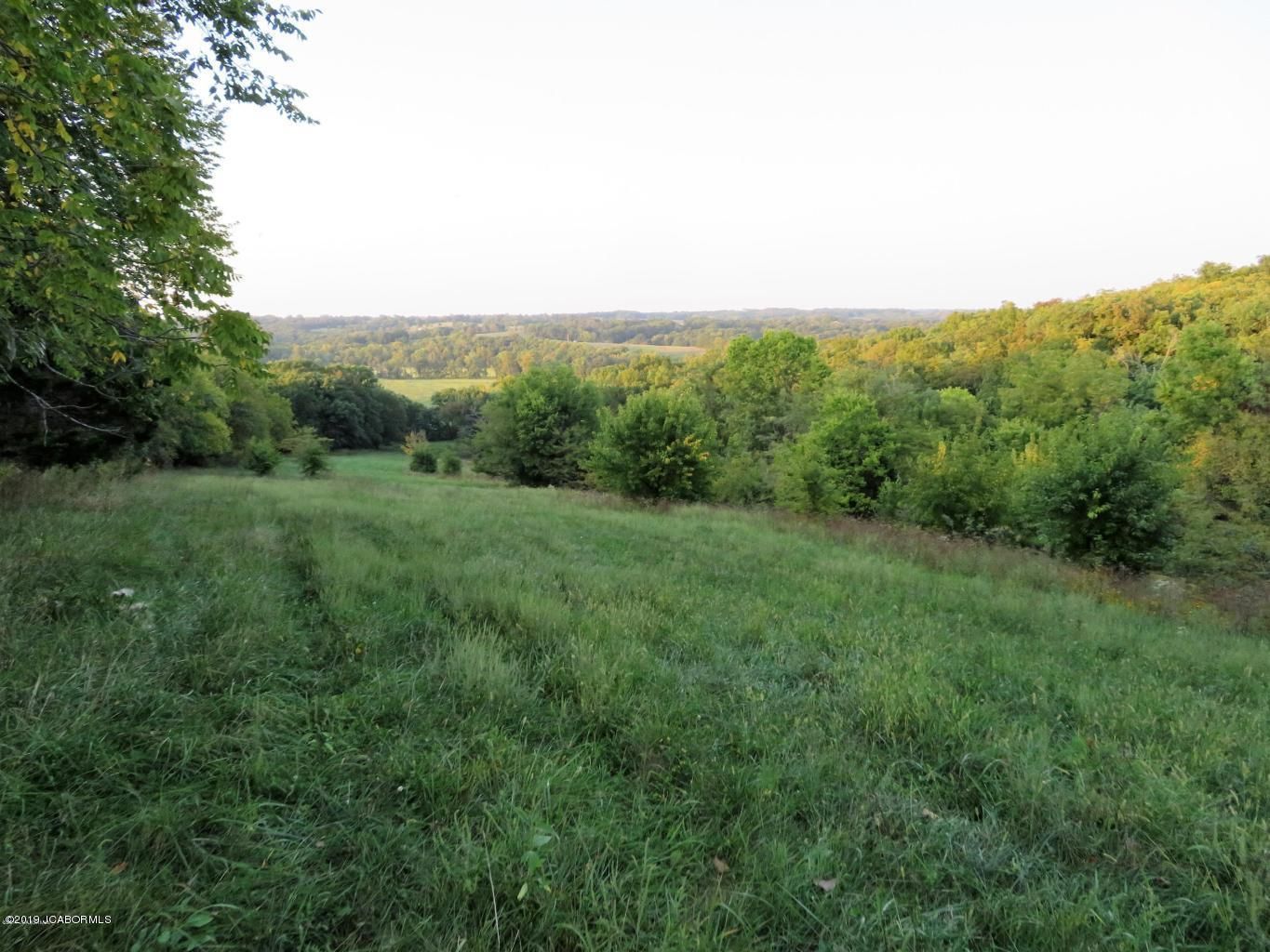 70 Acres, 2378 DICKS MILL DRIVE, Clarksburg, MO 65025 Land and Farm