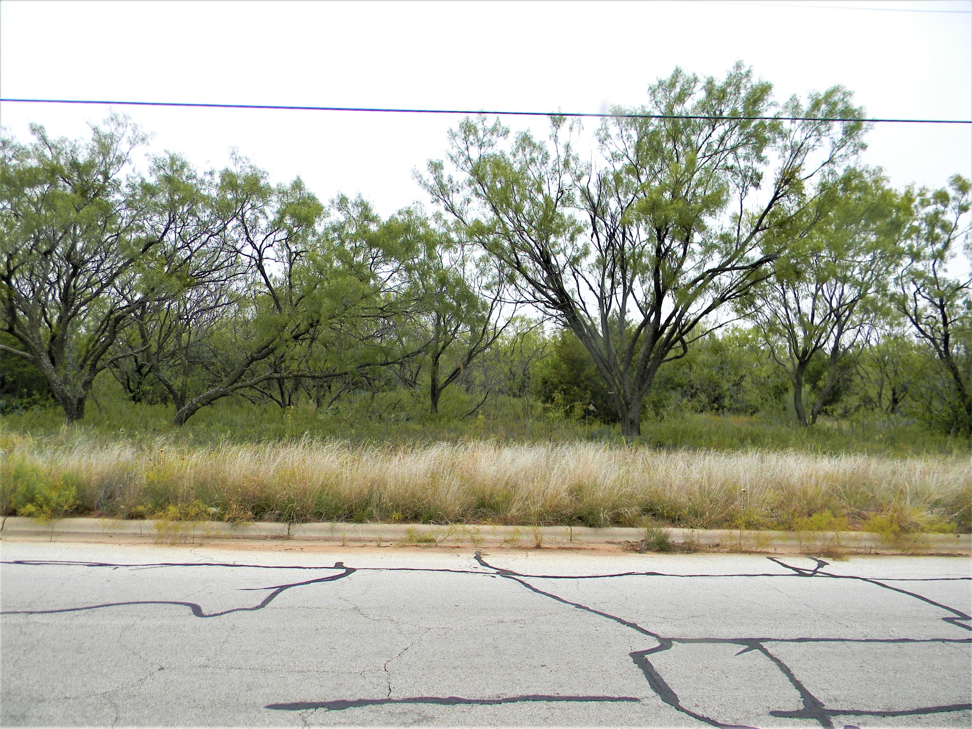 8 Acres, Redbird Lane, Abilene, TX 79605 Land and Farm