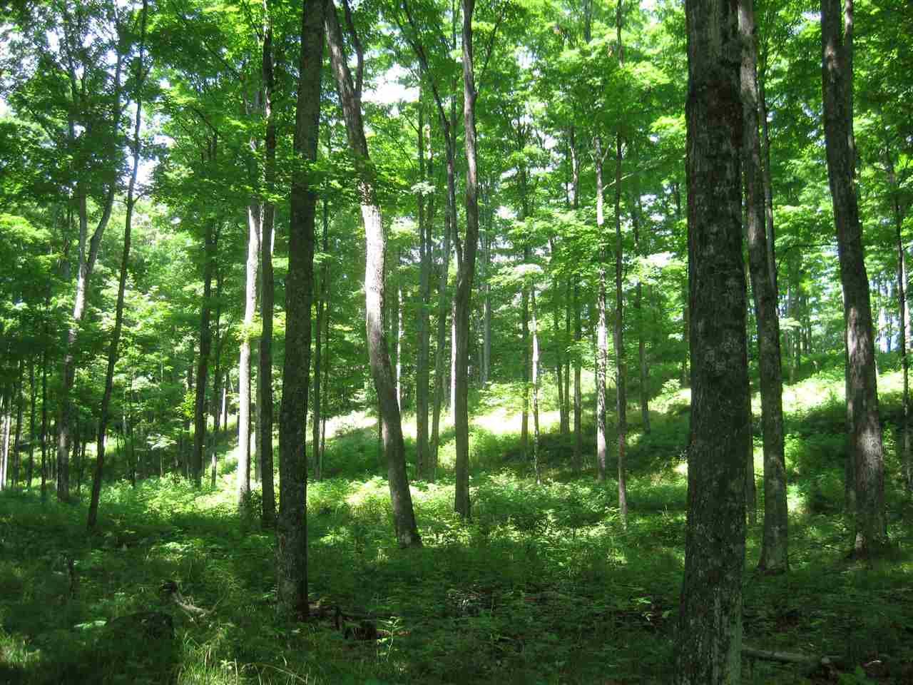 211 Acres, TBD Fordville East, Hardwood, MI 49834 Land and Farm