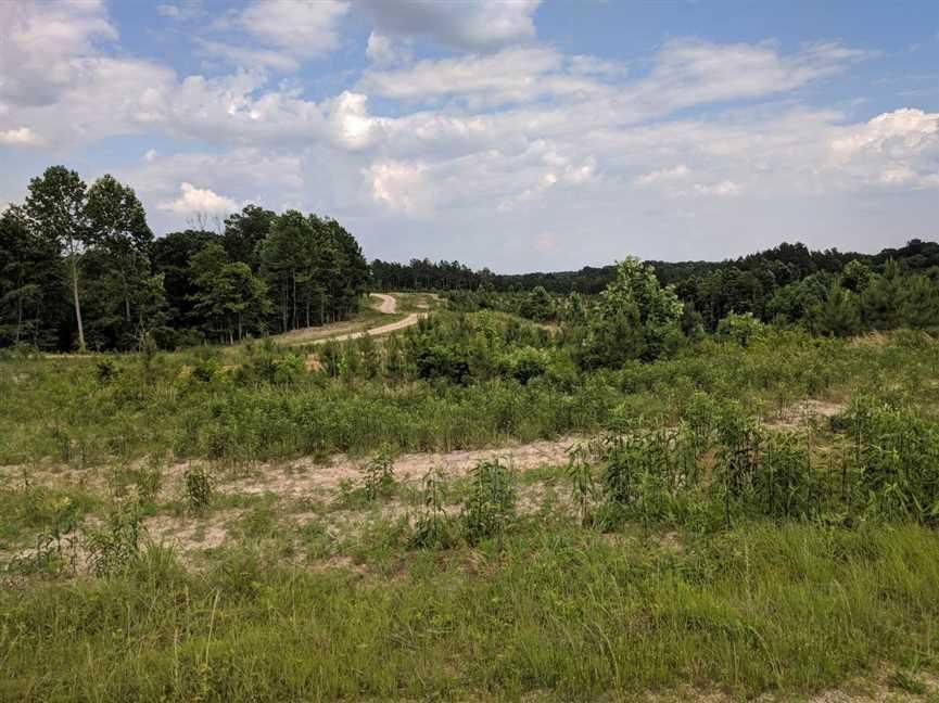 Leatherwood Road, Dover, TN 37058 Land and Farm