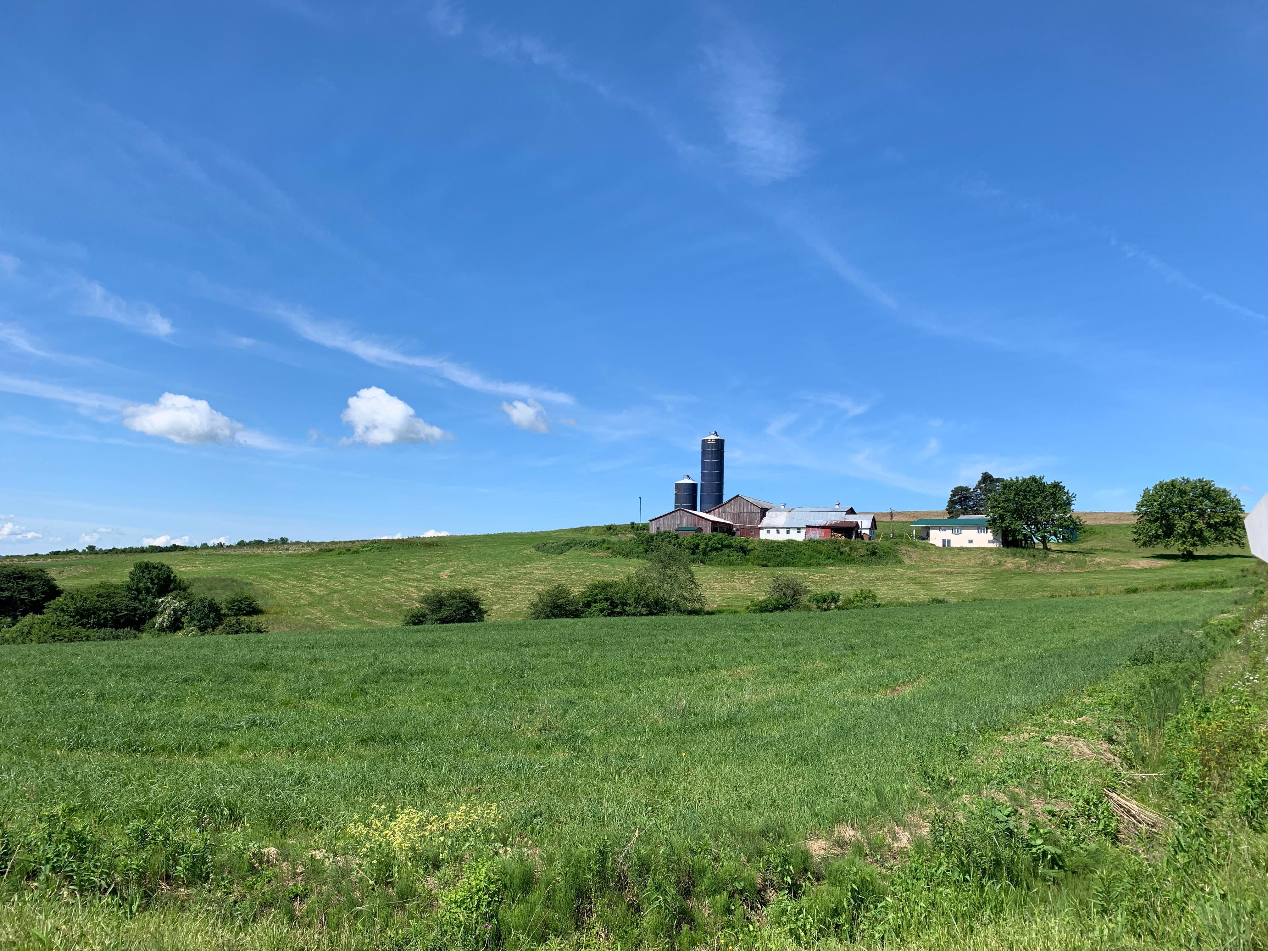 Harrington Road, Clymer, NY 14724 MLS lq51891 Land and Farm