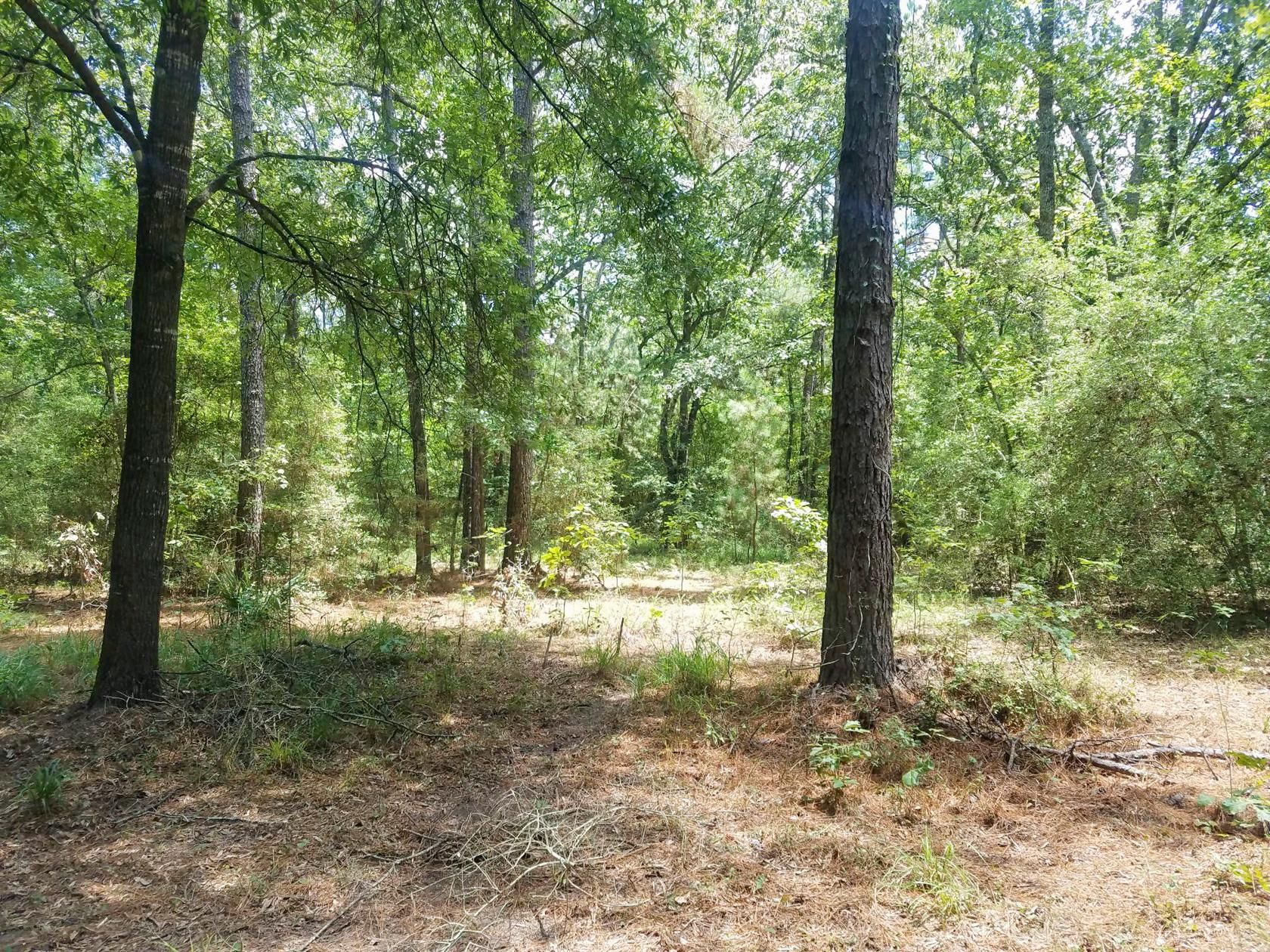 900 Harper Road, New Waverly, TX 77358 Land and Farm