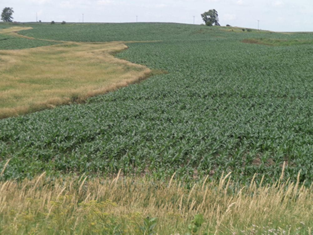 288 Acres, Marshalltown, IA 50158 Land and Farm