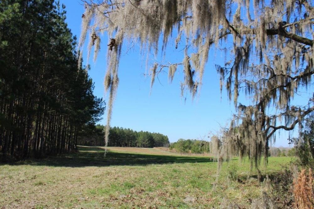 0 Rooster Road, Letohatchee, AL 36047 Land and Farm