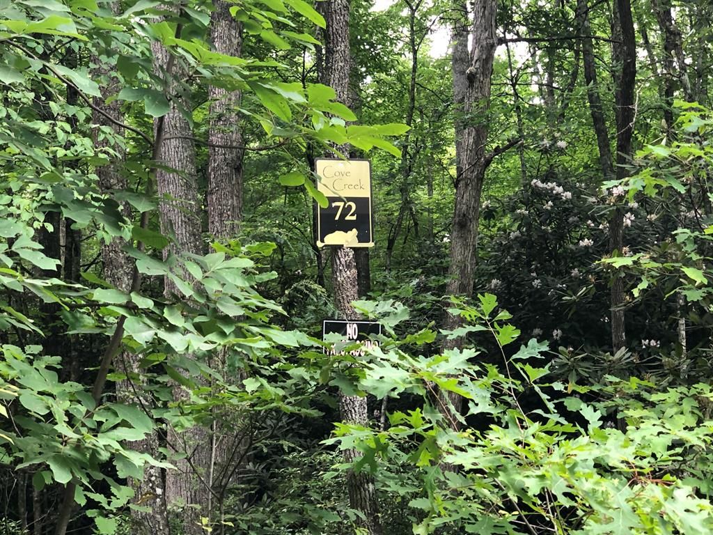 31.85 Acres, lot 72 Cove Creek Road, Tazewell, VA 24651 Land and Farm