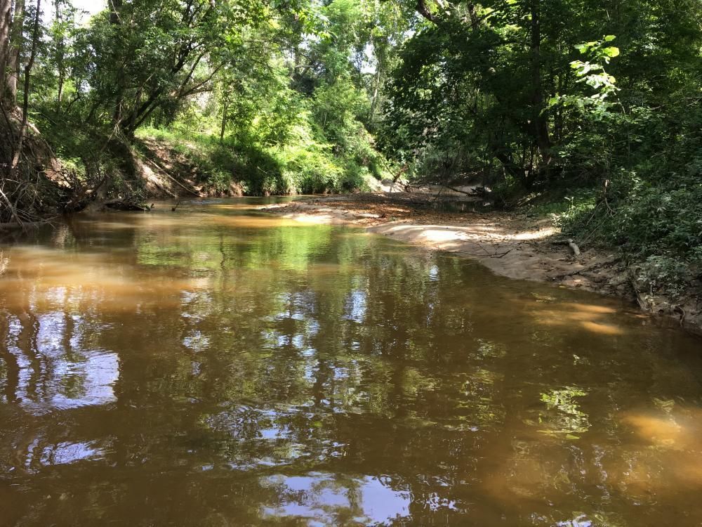 25 Acres, 0 Pleasant Hill Road, Gilbertown, AL 36908 Land and Farm