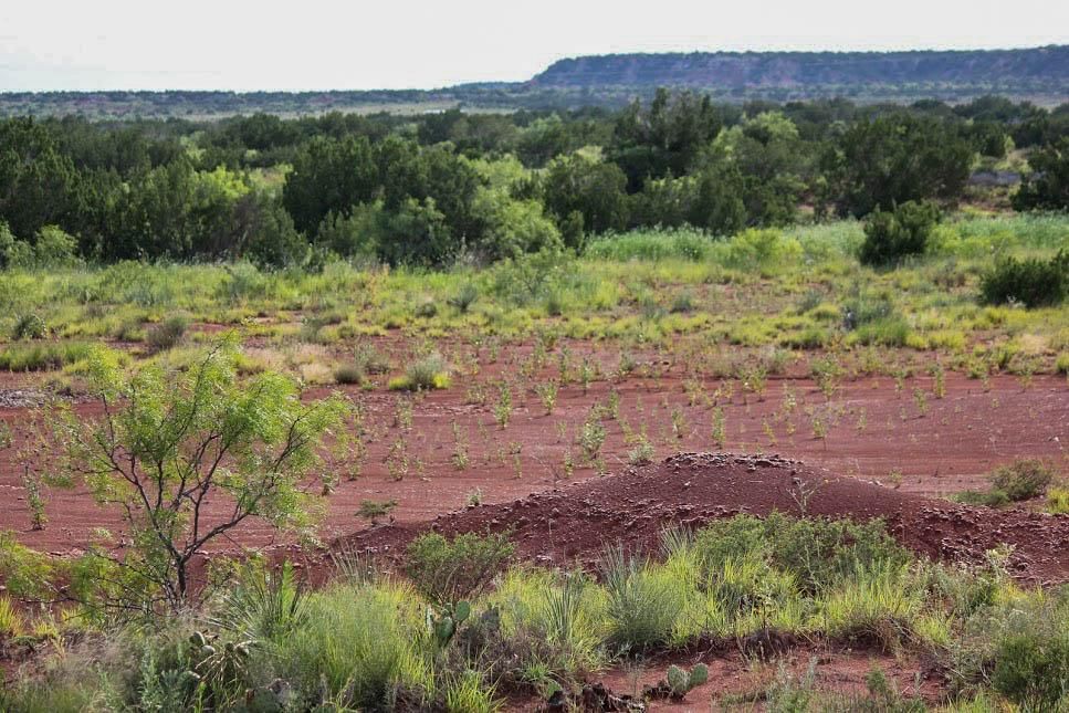 568 acres in Benjamin, TX, 79505 Land and Farm