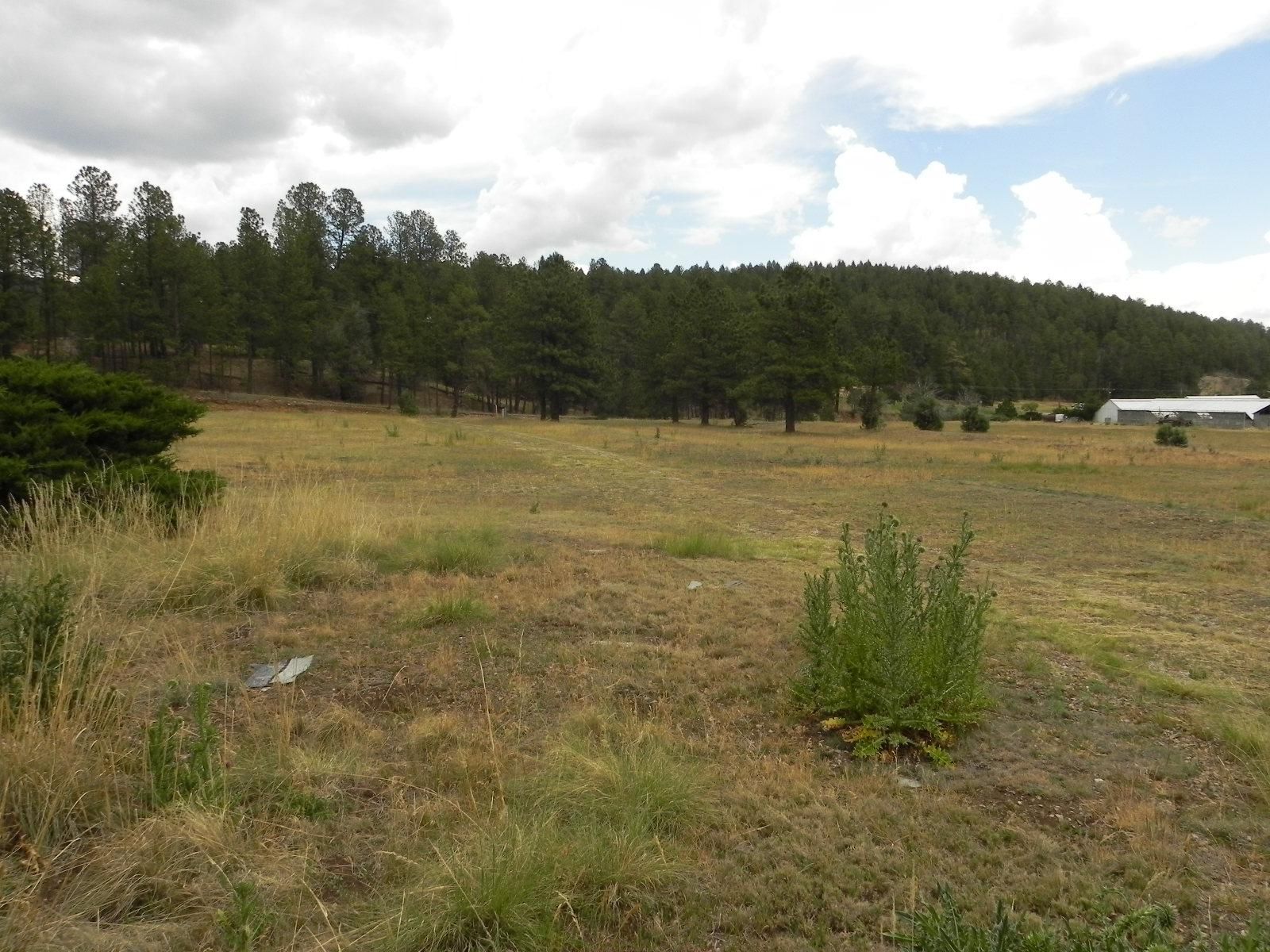 140 Acres, Mayhill, NM 88339 Land and Farm