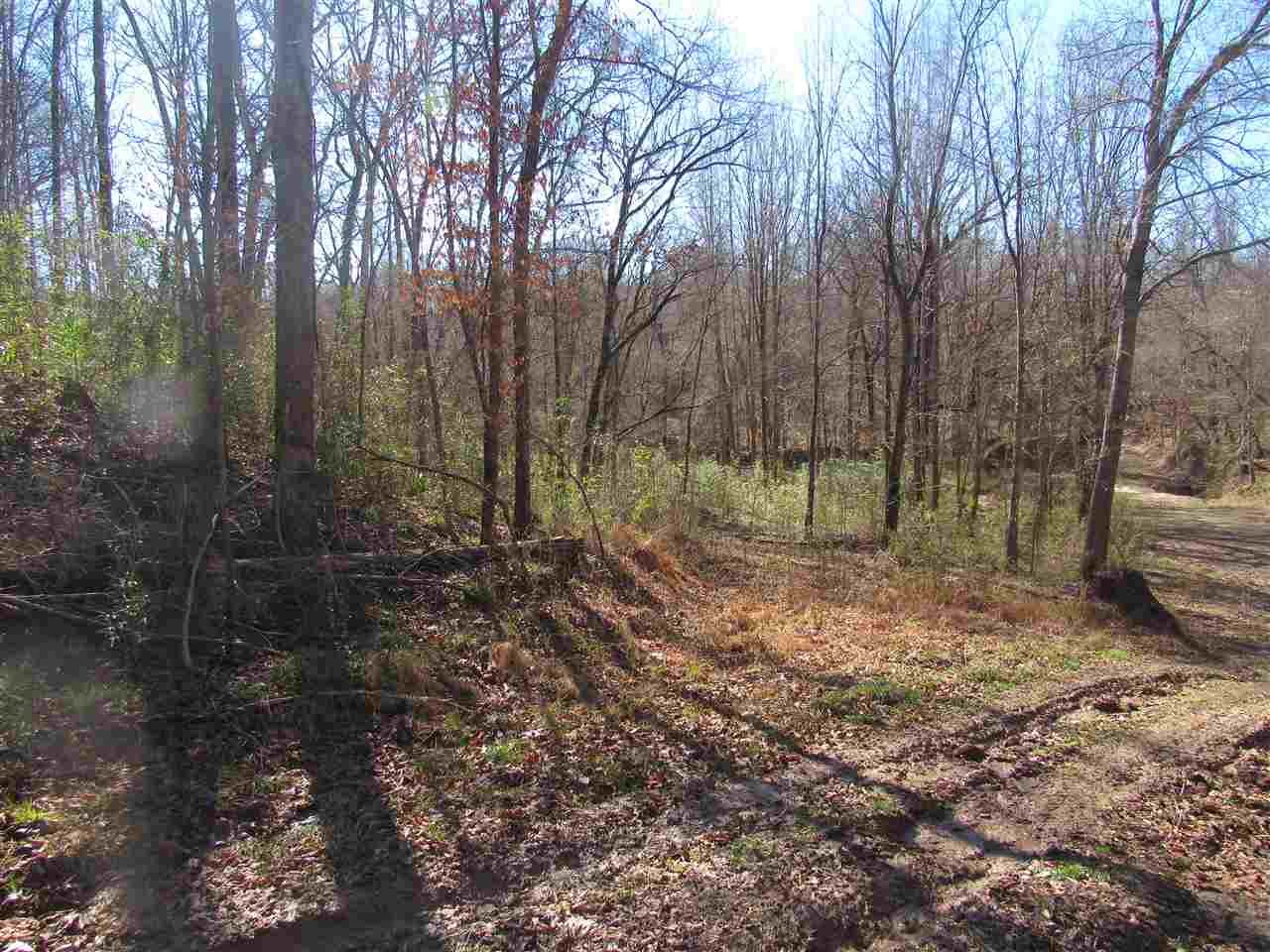 78 Acres, 00 RODNEY RD, Port Gibson, MS 39150 Land and Farm