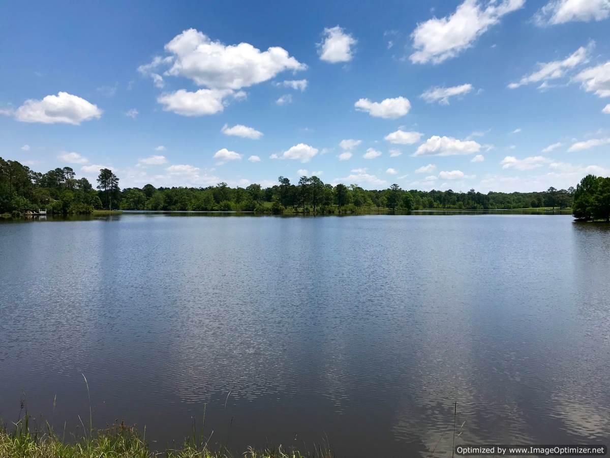 22 Acres, 2 PerkinstonSilver Run Road, Perkinston, MS 39573 Land and Farm