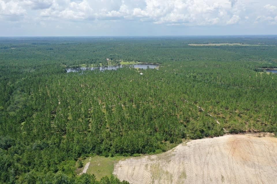 492 Acres, 295 N DAISY RD (492 acres) Ben Hill County, Tifton, GA 31750