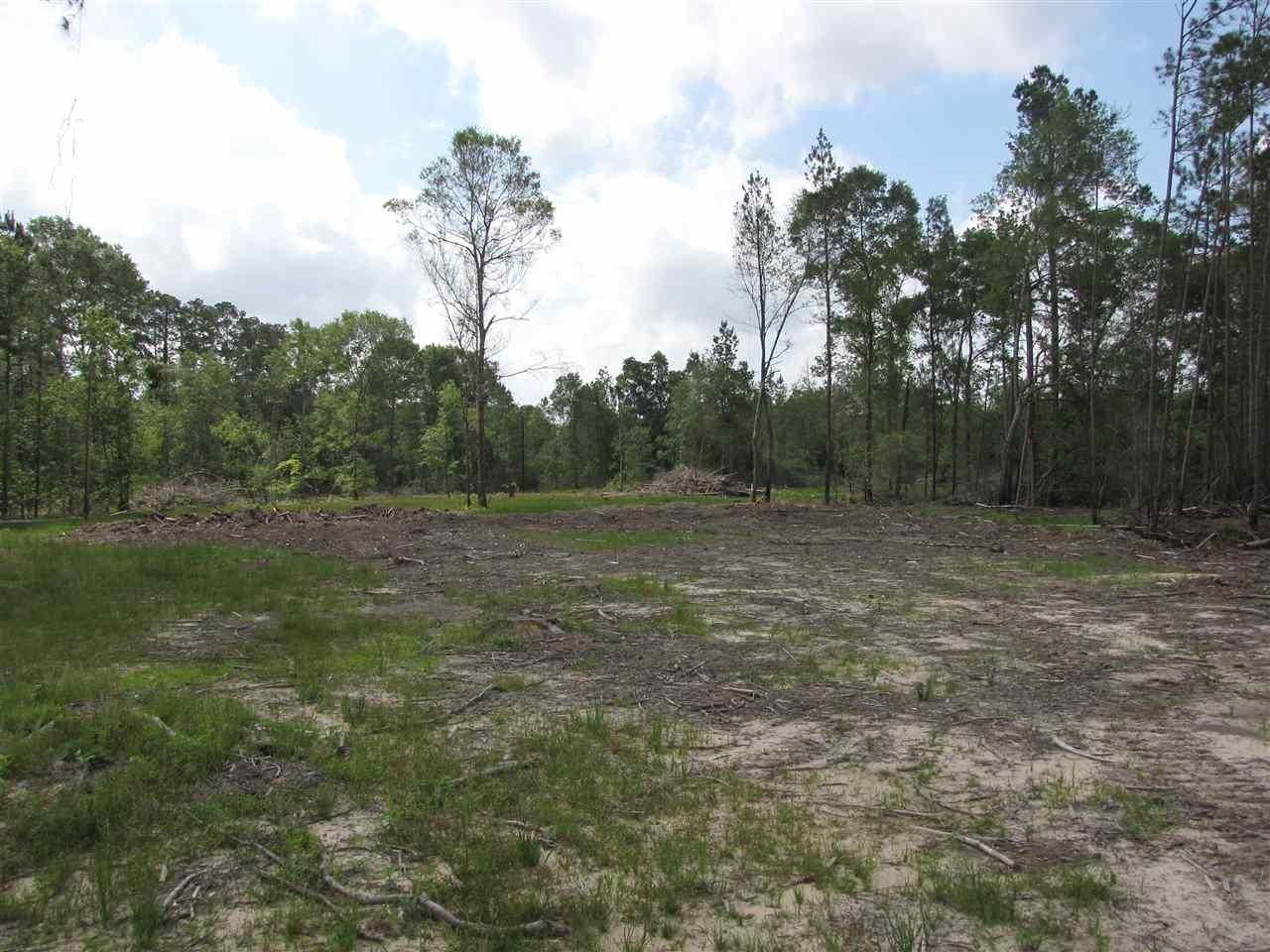 15 Acres, Holland Rd. Tract 1, Kountze, TX 77625 Land and Farm