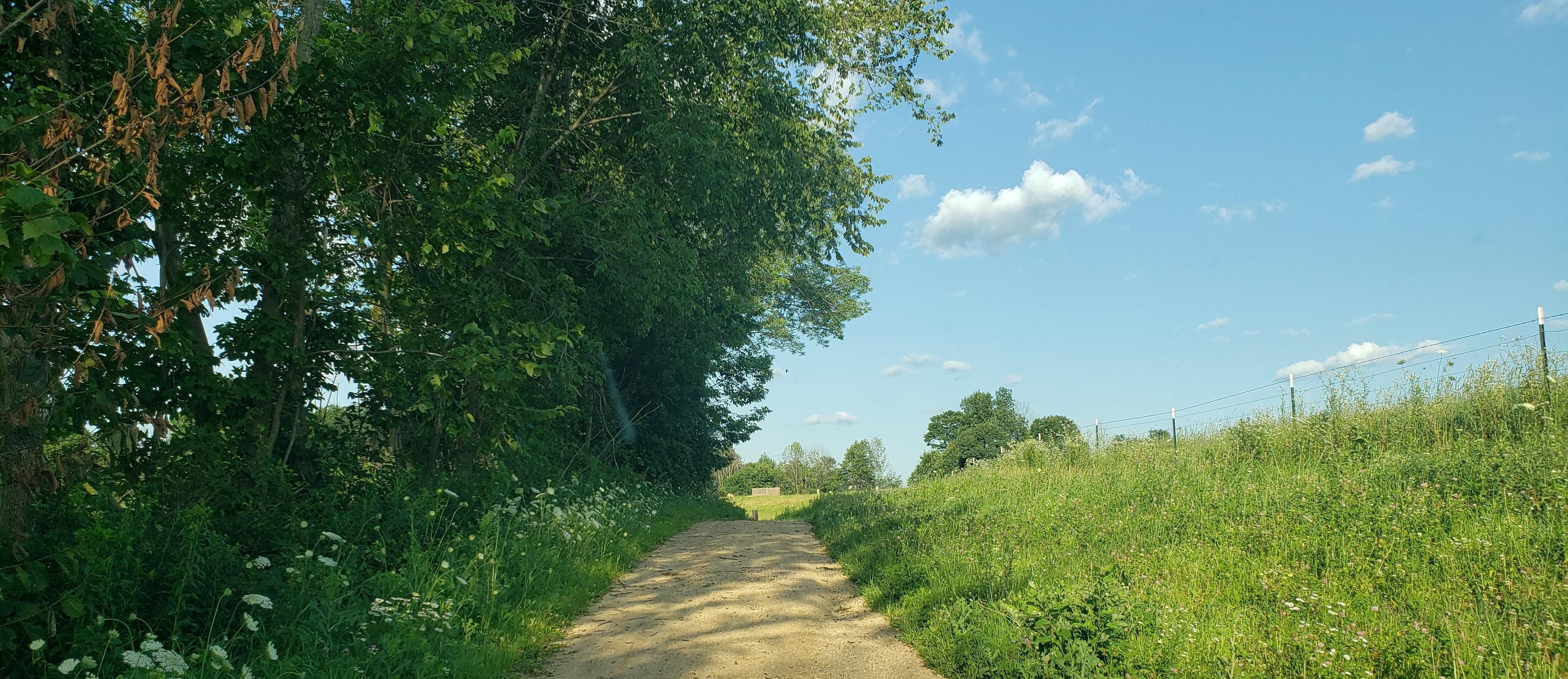 40 Acres, 17735 High Point Road, Viola, WI 54664 Land and Farm