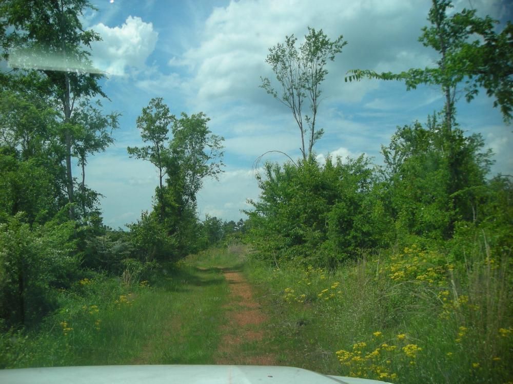 39 Acres, 0 Banks Mountain Road, Cave Spring, GA 30124 Land and Farm