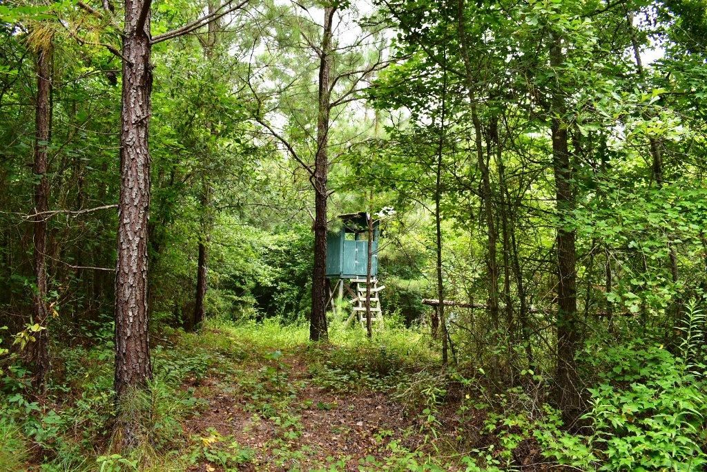 353 Acres, Rocky Bottom Road, Thomaston, GA 30286 Land and Farm