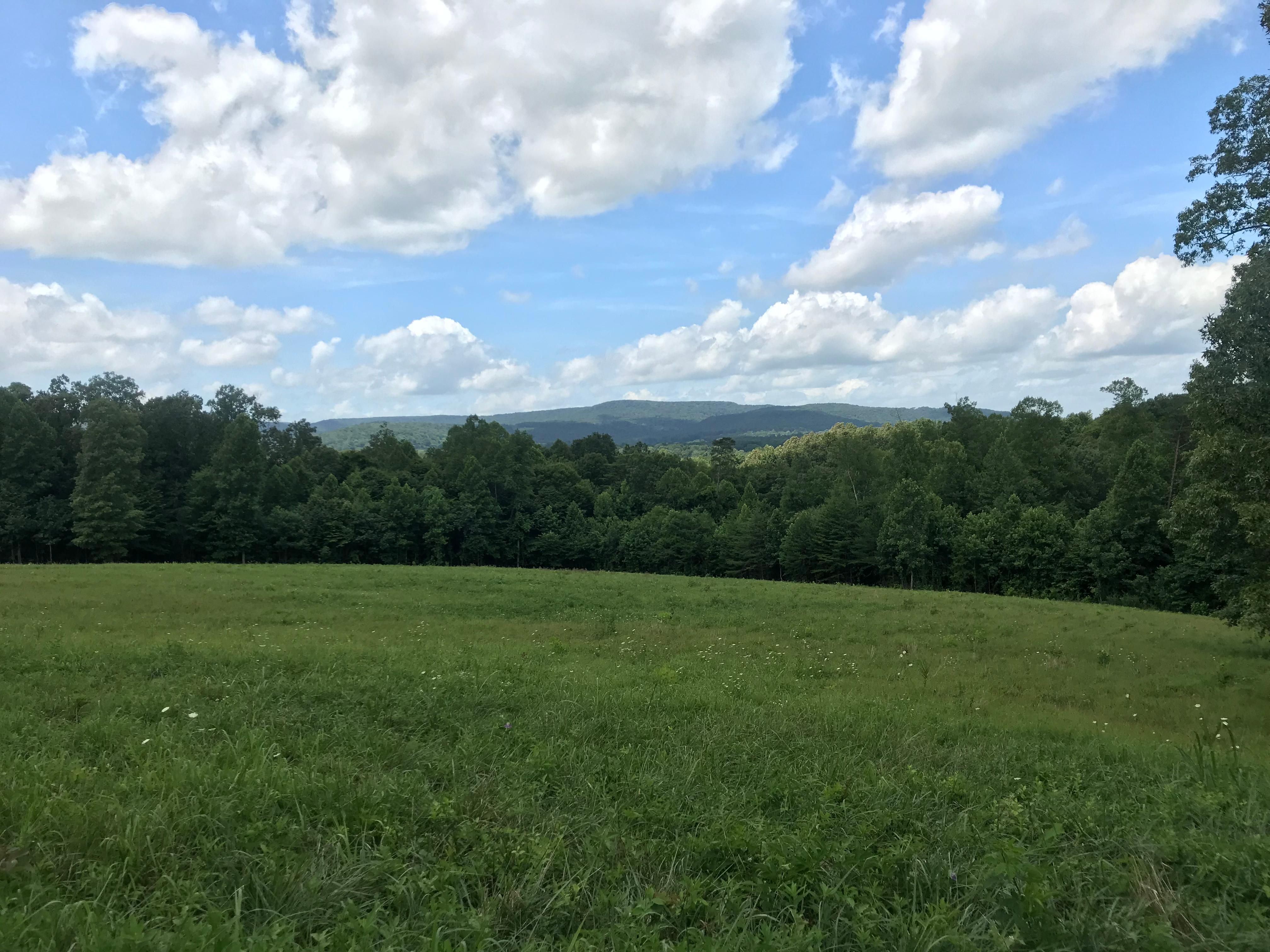 Harrison Ferry Road, McMinnville, TN 37110 MLS 1303611 Land and Farm