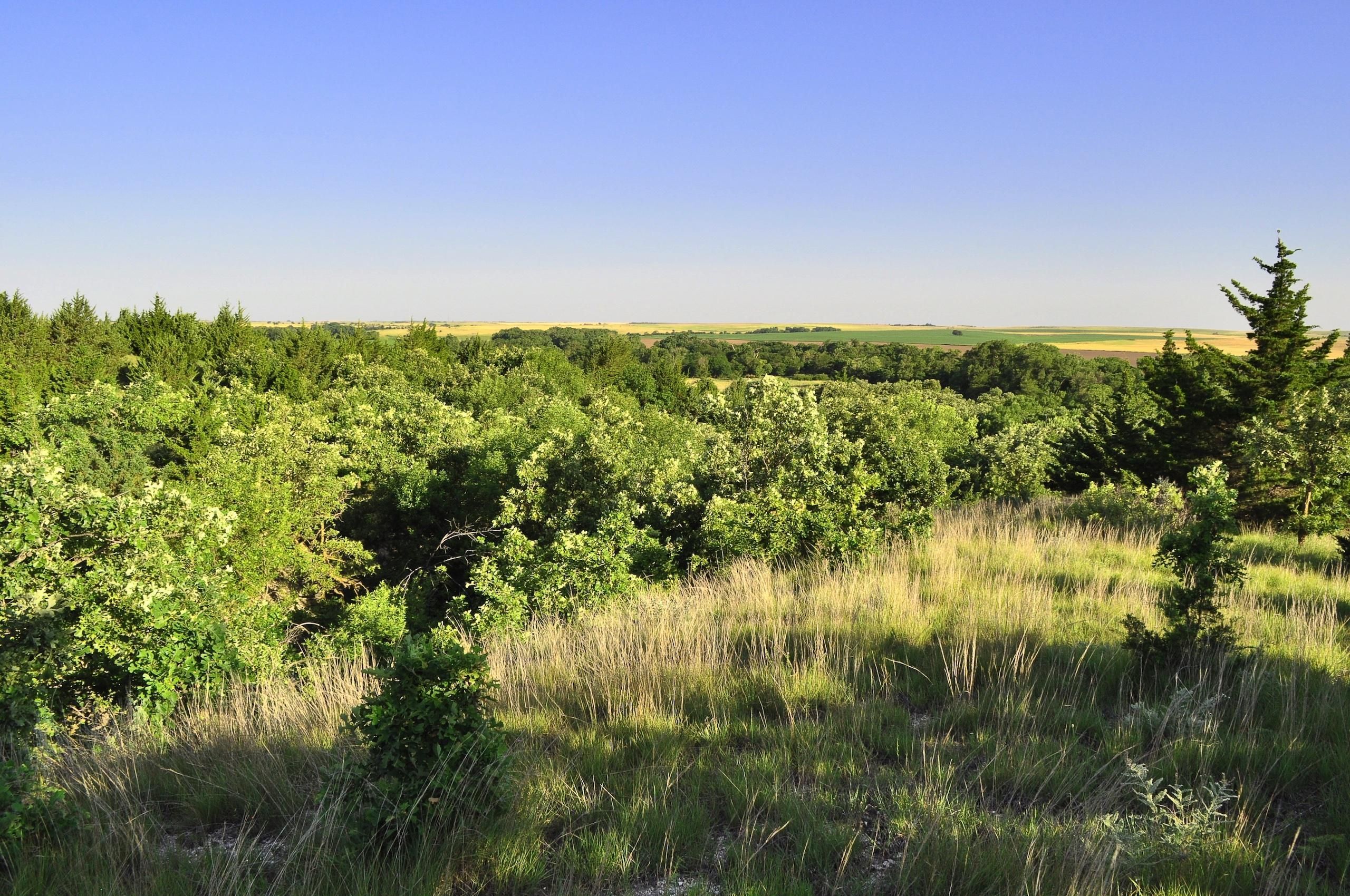 240 Acres, E. Day Dream Road, Lot WP001, Kirwin, KS 67644 Land and Farm