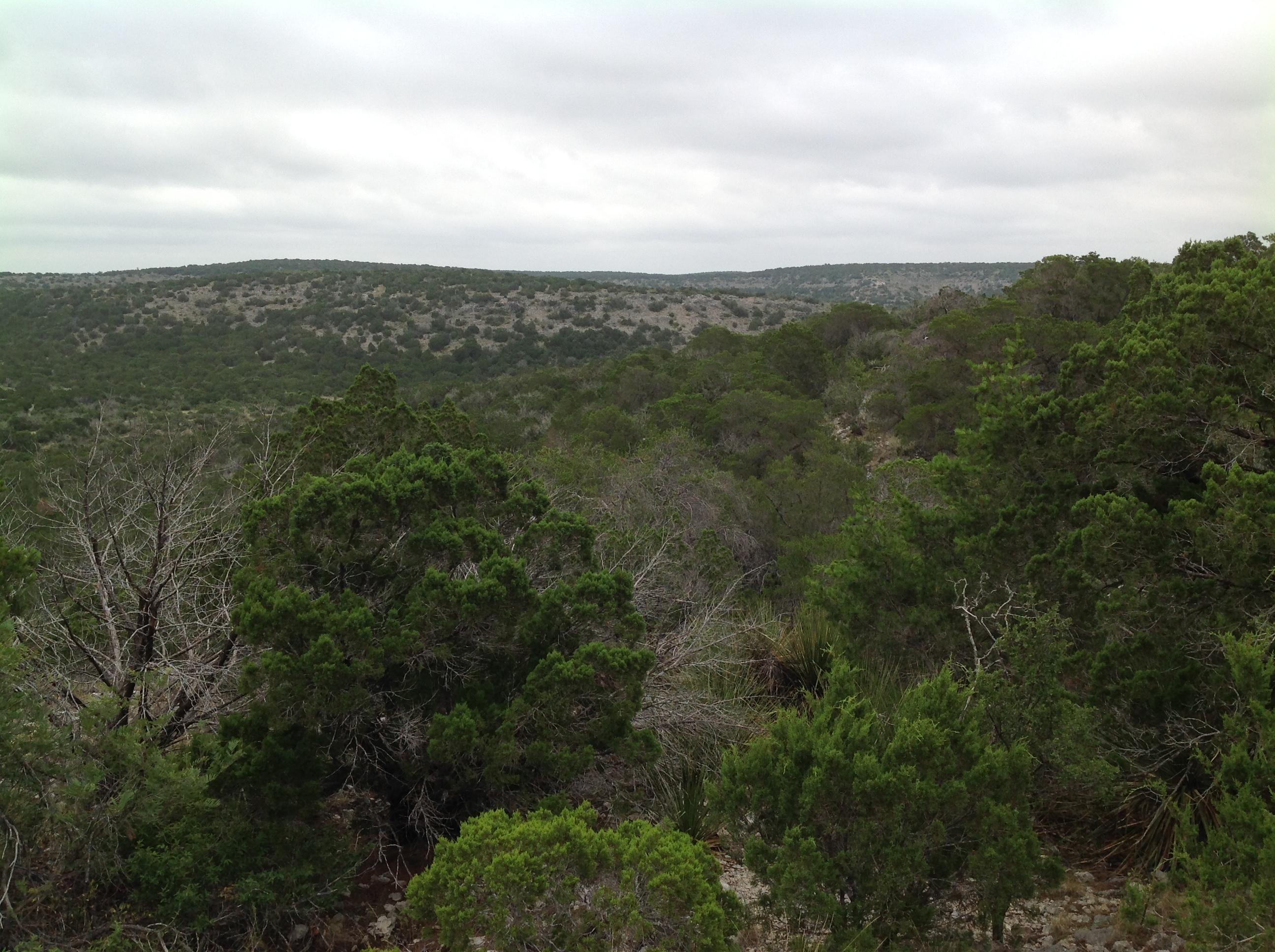 100.47 Acres, Carta Valley, TX 78880 Land and Farm