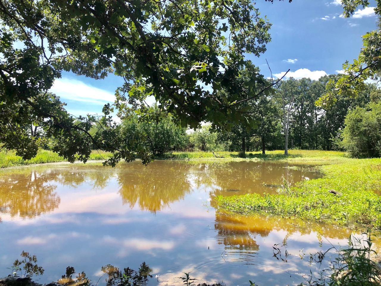 25 Acres, 3584 Farm to Market Road 71, Talco, TX 75487 Land and Farm