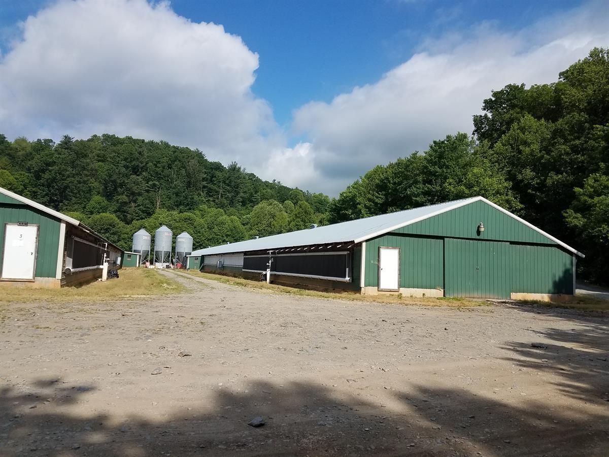 30 Acres, 7907 Boardtown Road, Ellijay, GA 30540 Land and Farm