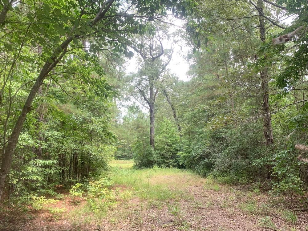 9.81 Acres, HWY 53, Fayetteville, NC 28312 Land and Farm