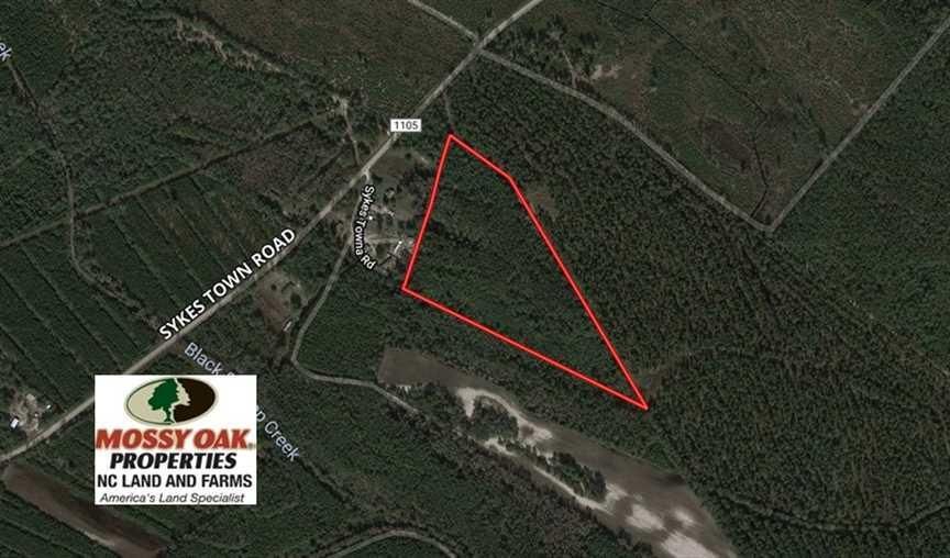 Off Sykes Town Road, Currie, NC 28435 Land and Farm