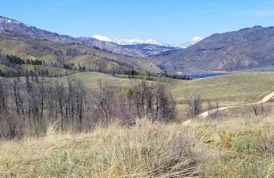 Lot 27A Anderson Ranch Bluffs, Pine, ID 83647 Land and Farm