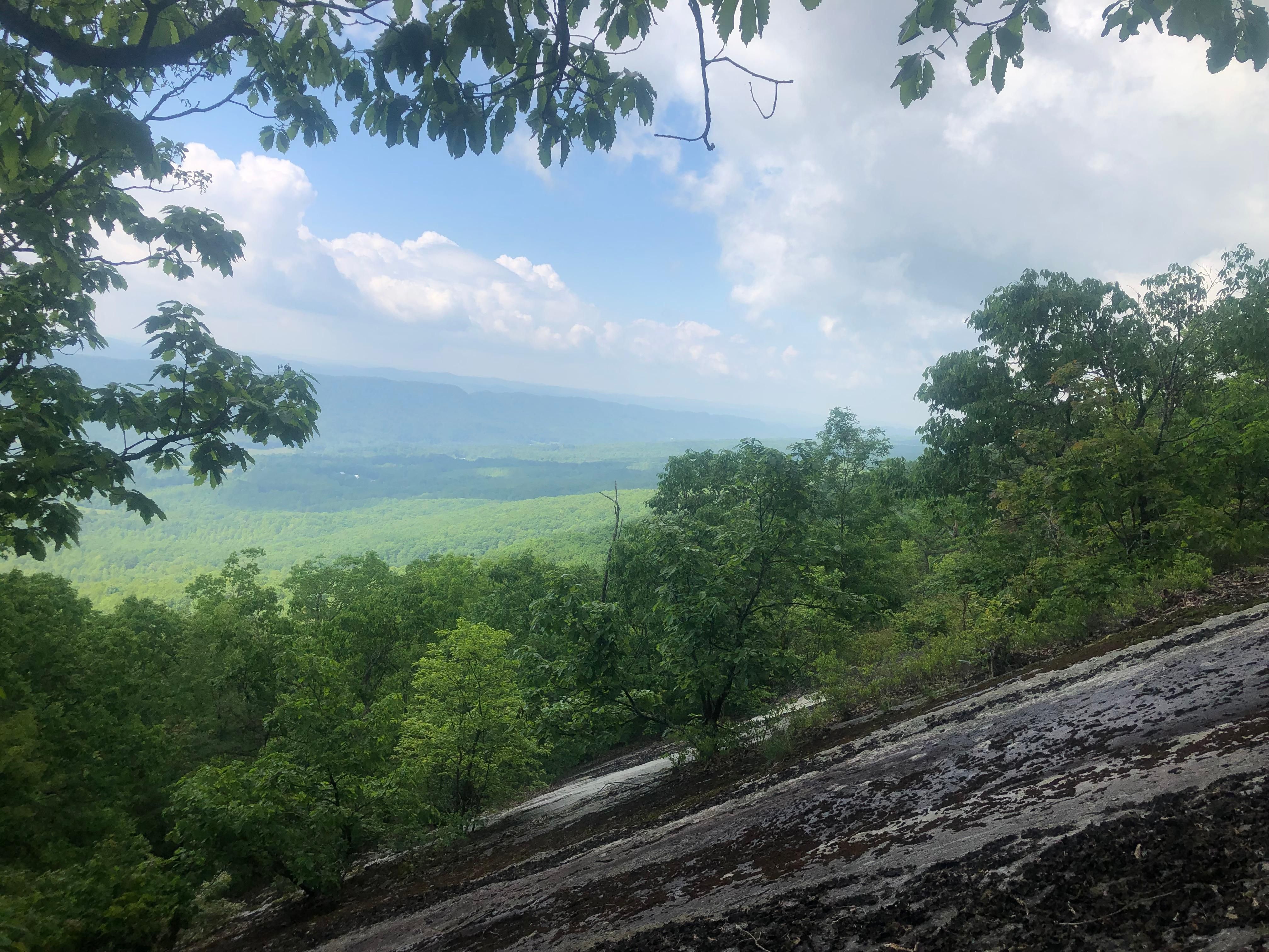94 Acres, TBD Hayters Gap Road, Saltville, VA 24370 Land and Farm