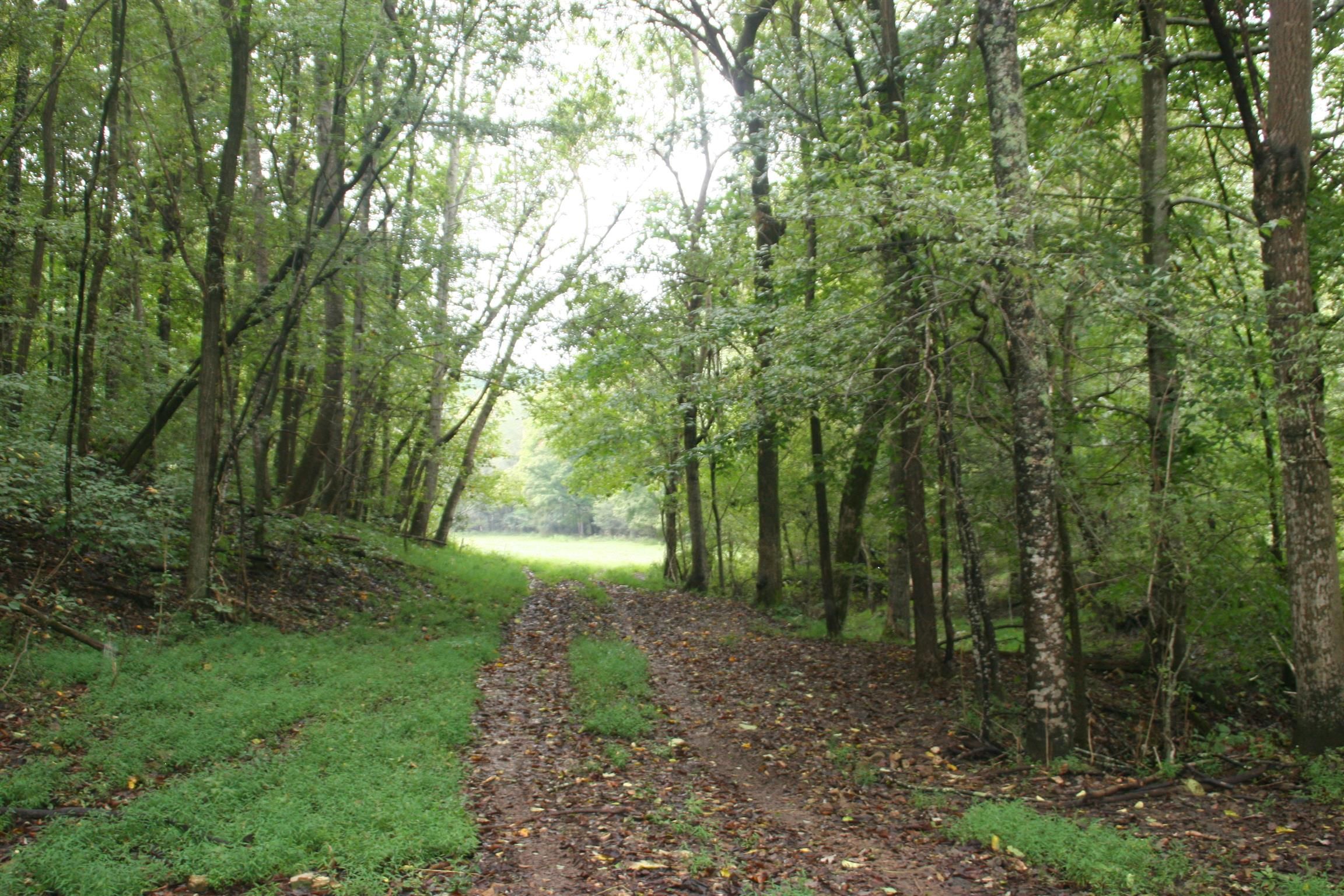 96 Acres, 2201 Lock B Rd N, Clarksville, TN 37043 Land and Farm
