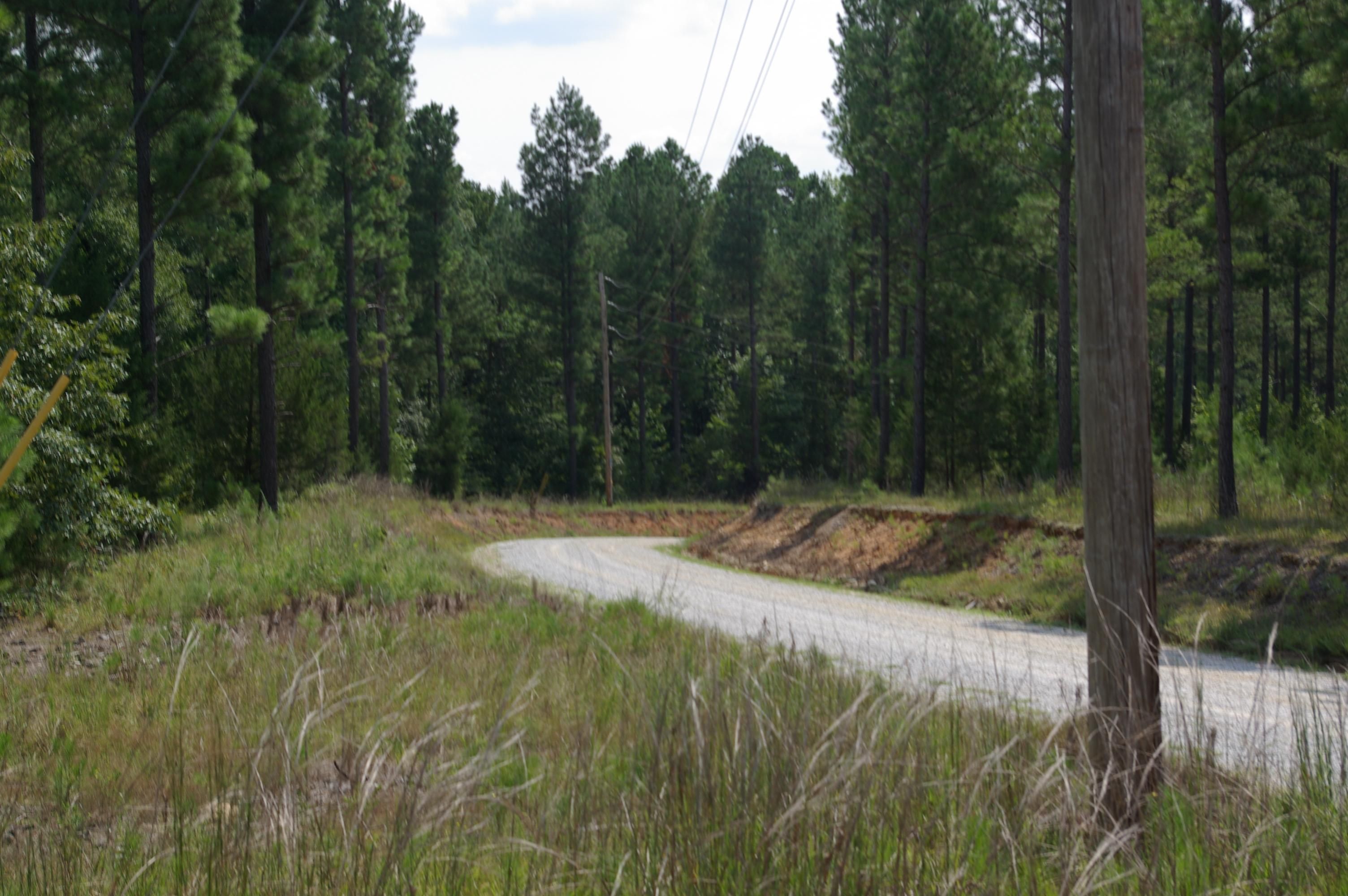 133 Acres, Maggie Harris Road, Blackstock, SC 29014 Land and Farm