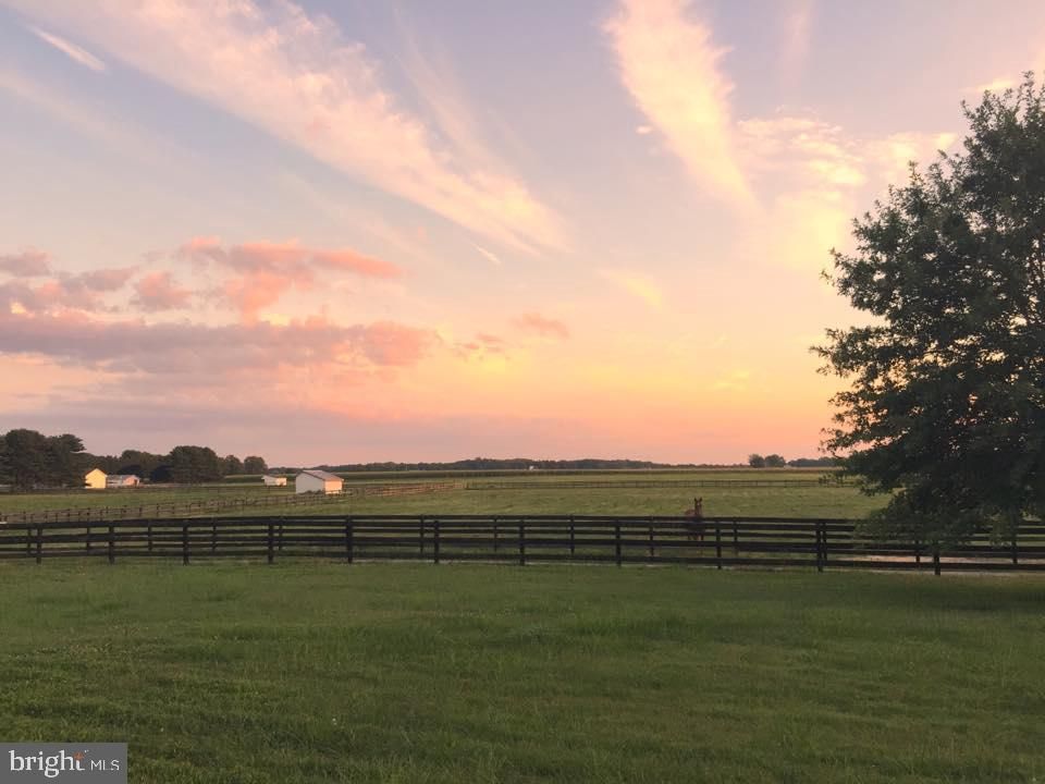 28 Acres, 12480 BLADES ROAD, Cordova, MD 21625 Land and Farm