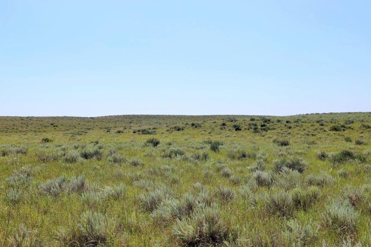 9,238 Acres, Eckley, CO 80727 Land and Farm