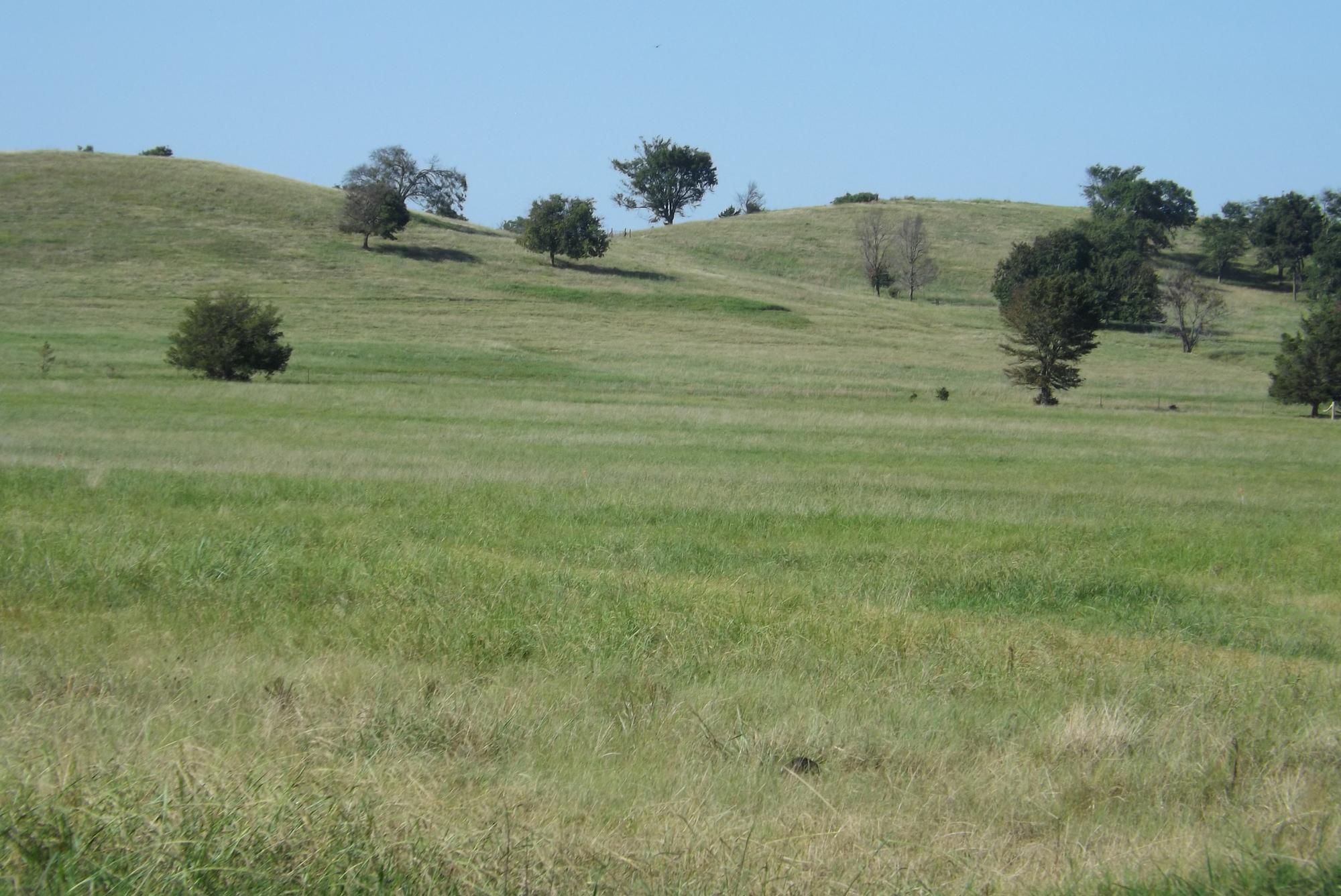 394 Acres, 1 hour S of Tulsa, Oklahoma, Checotah, OK 74422 Land and Farm