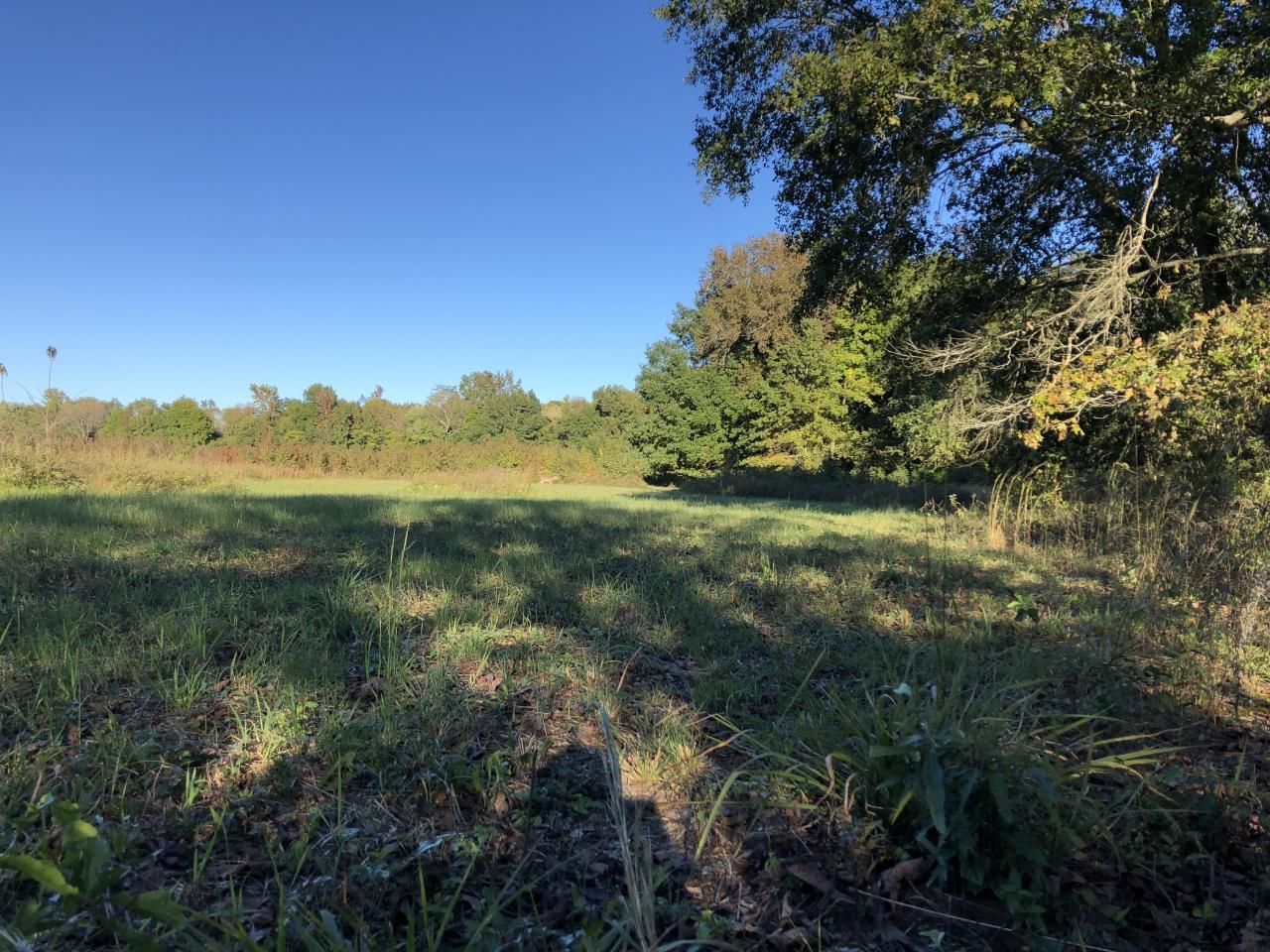 122 Acres, AR 72143 Land and Farm
