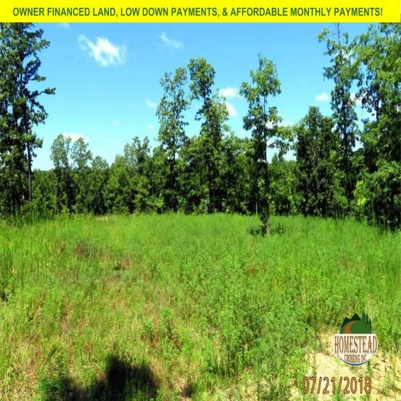 58 Acres, Jadwin, MO 65501 Land and Farm