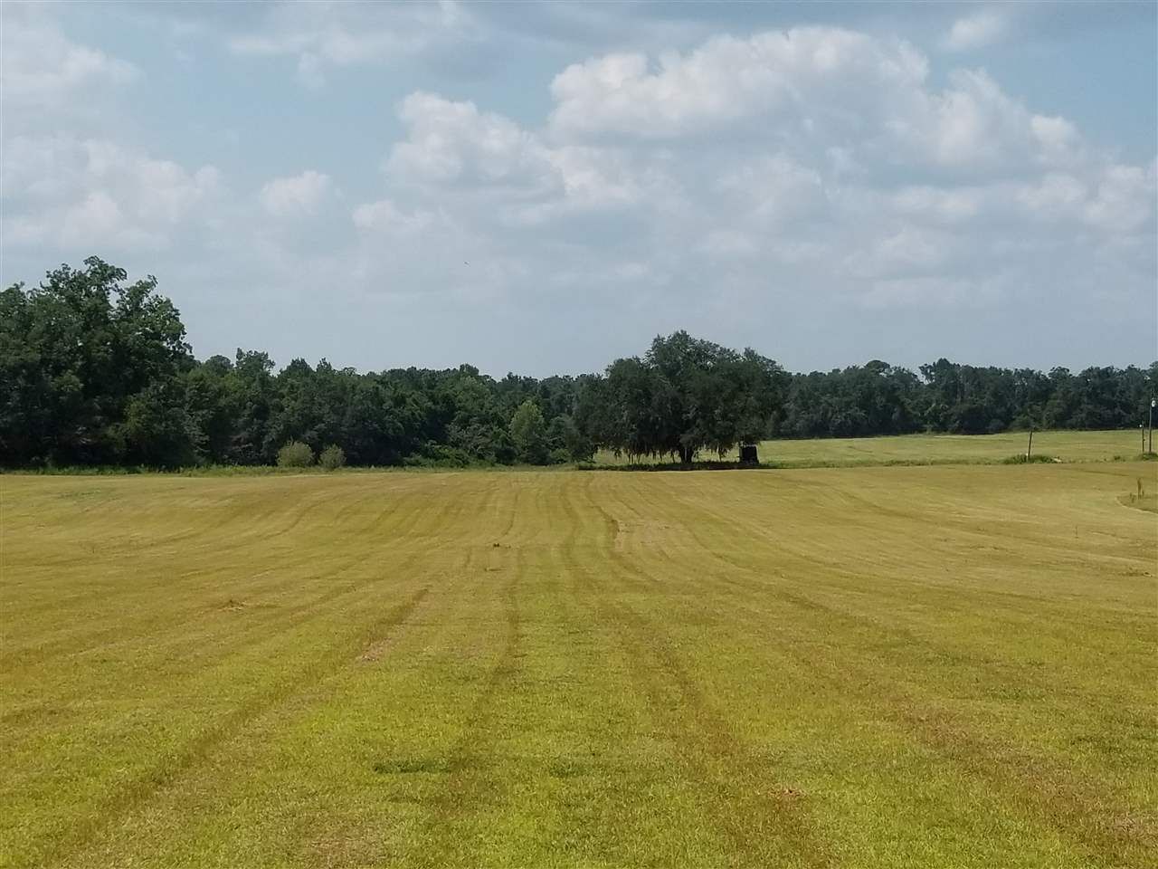 79.86 Acres, 4700 Chaires Cross, Tallahassee, FL 32317 Land and Farm