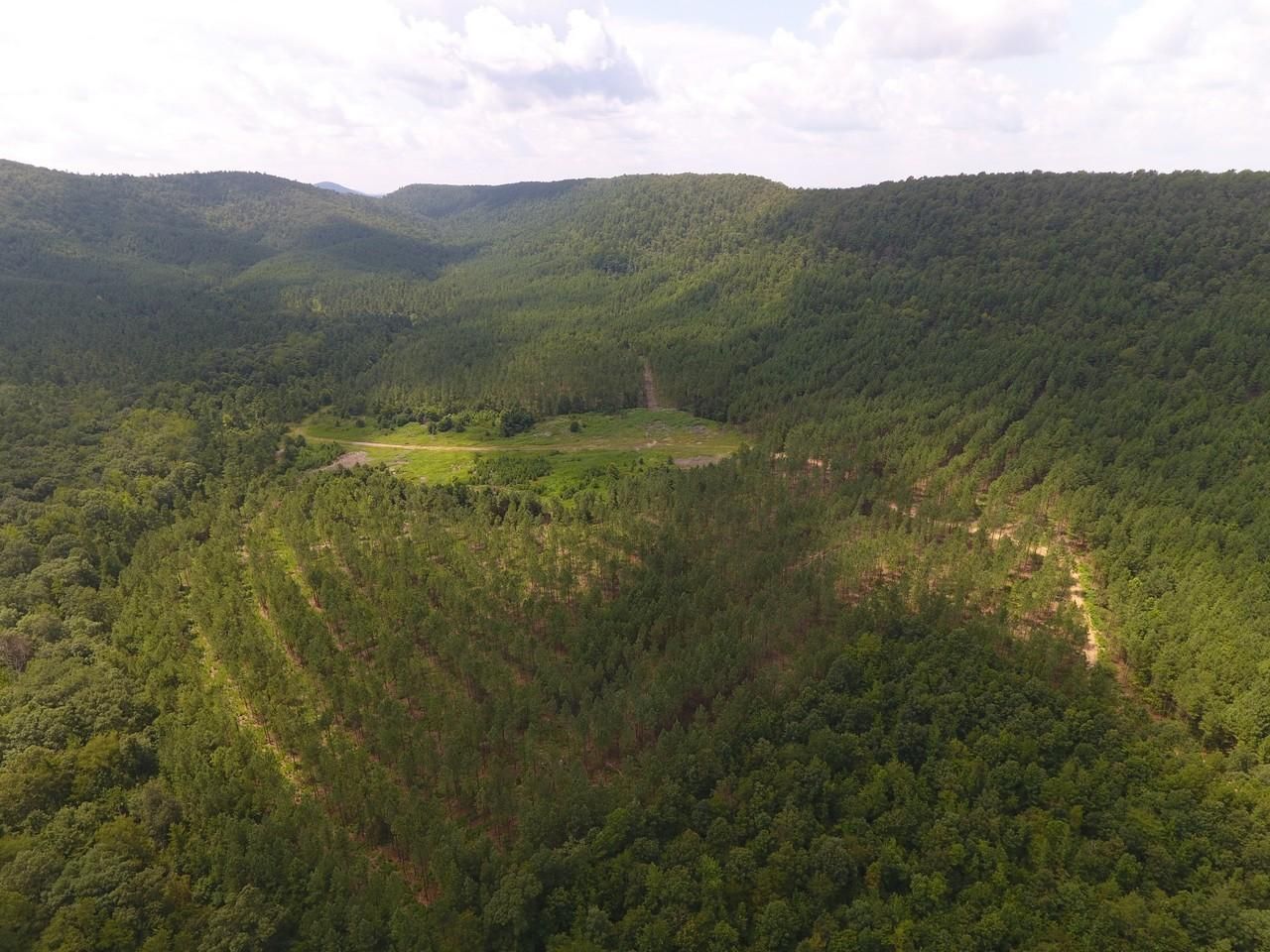 535 Acres, Caddo Gap, AR 71935 Land and Farm