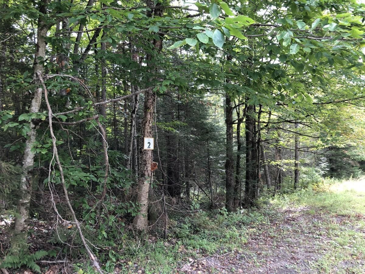 Roberts Rd, Remsen, NY 13438 MLS 10639835 Land and Farm