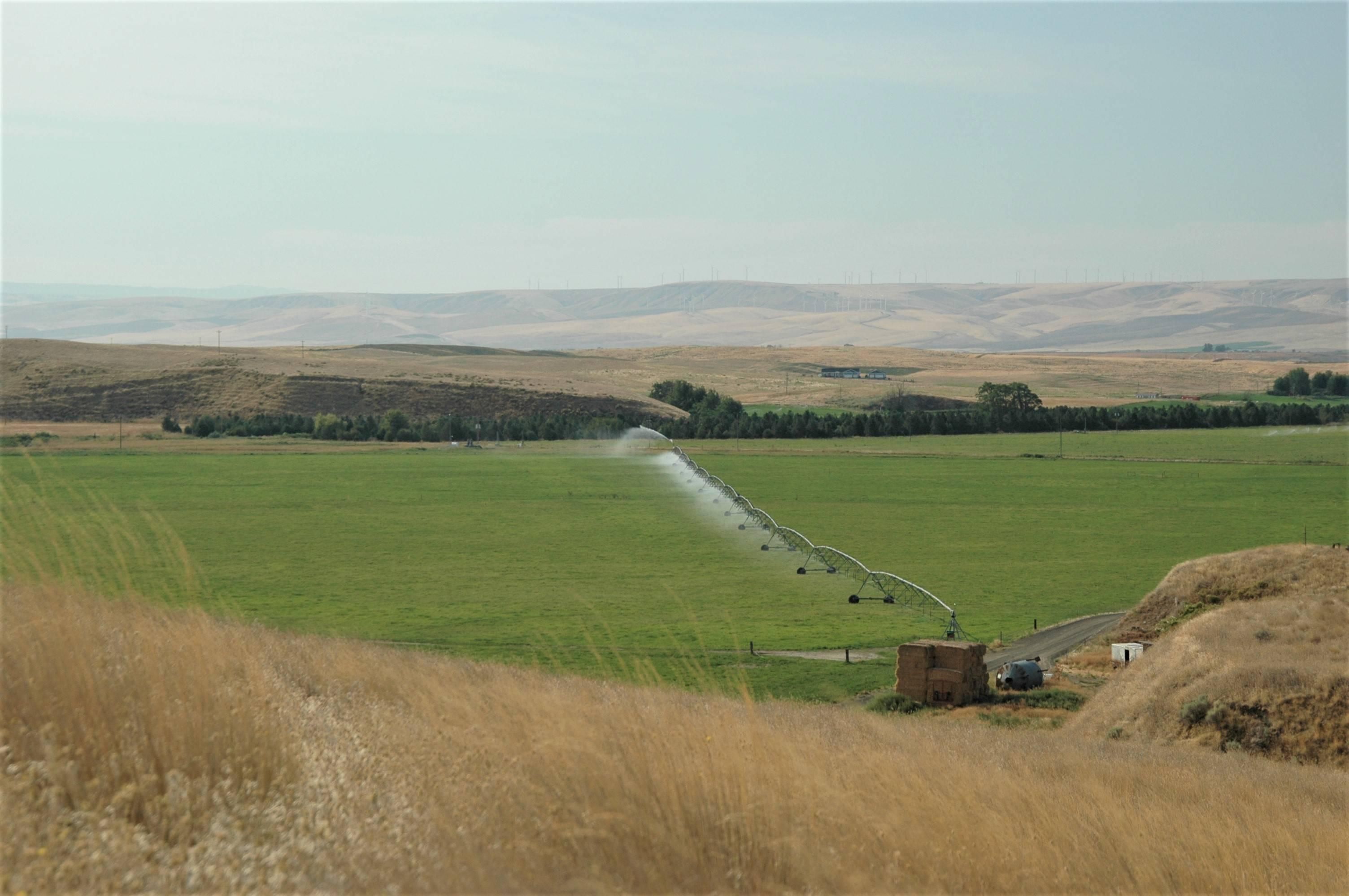 670 acres in Touchet, WA, 99360 Land and Farm