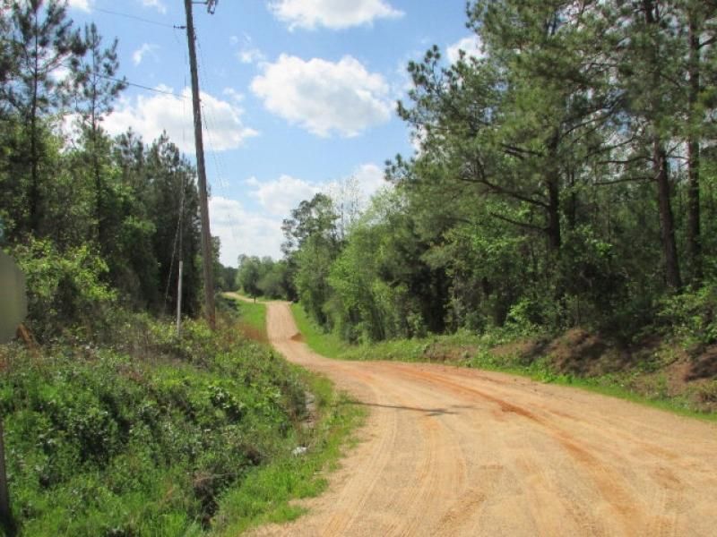 40 Acres, Cr 16, Louin, MS 39338 Land and Farm