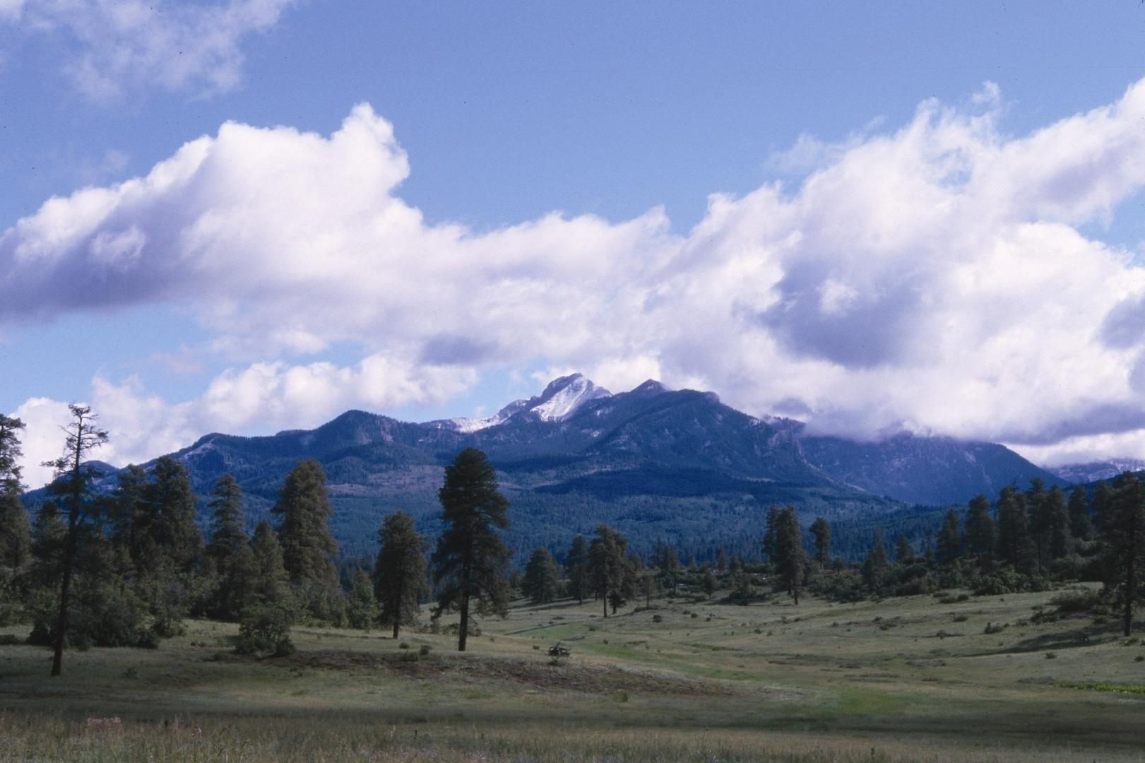 0.42 Acres, 369 Clint Circle, Pagosa Springs, CO 81147 Land and Farm