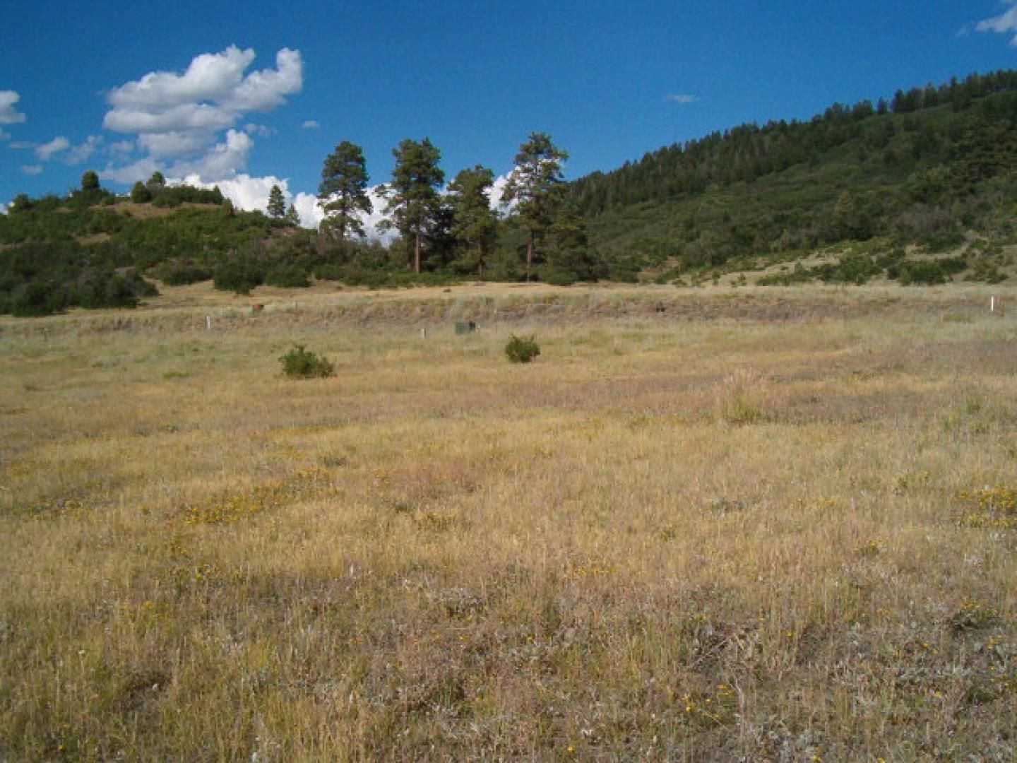 0.4 Acres, 114 Dylan Dr., Pagosa Springs, CO 81147 Land and Farm