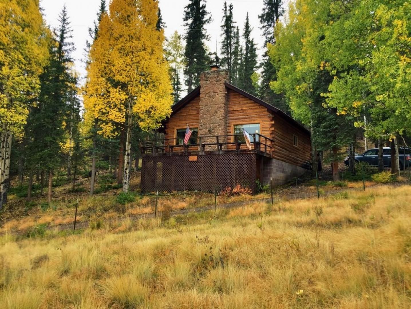 32001 Stagecoach Trail, Creede, CO 81130 Land and Farm