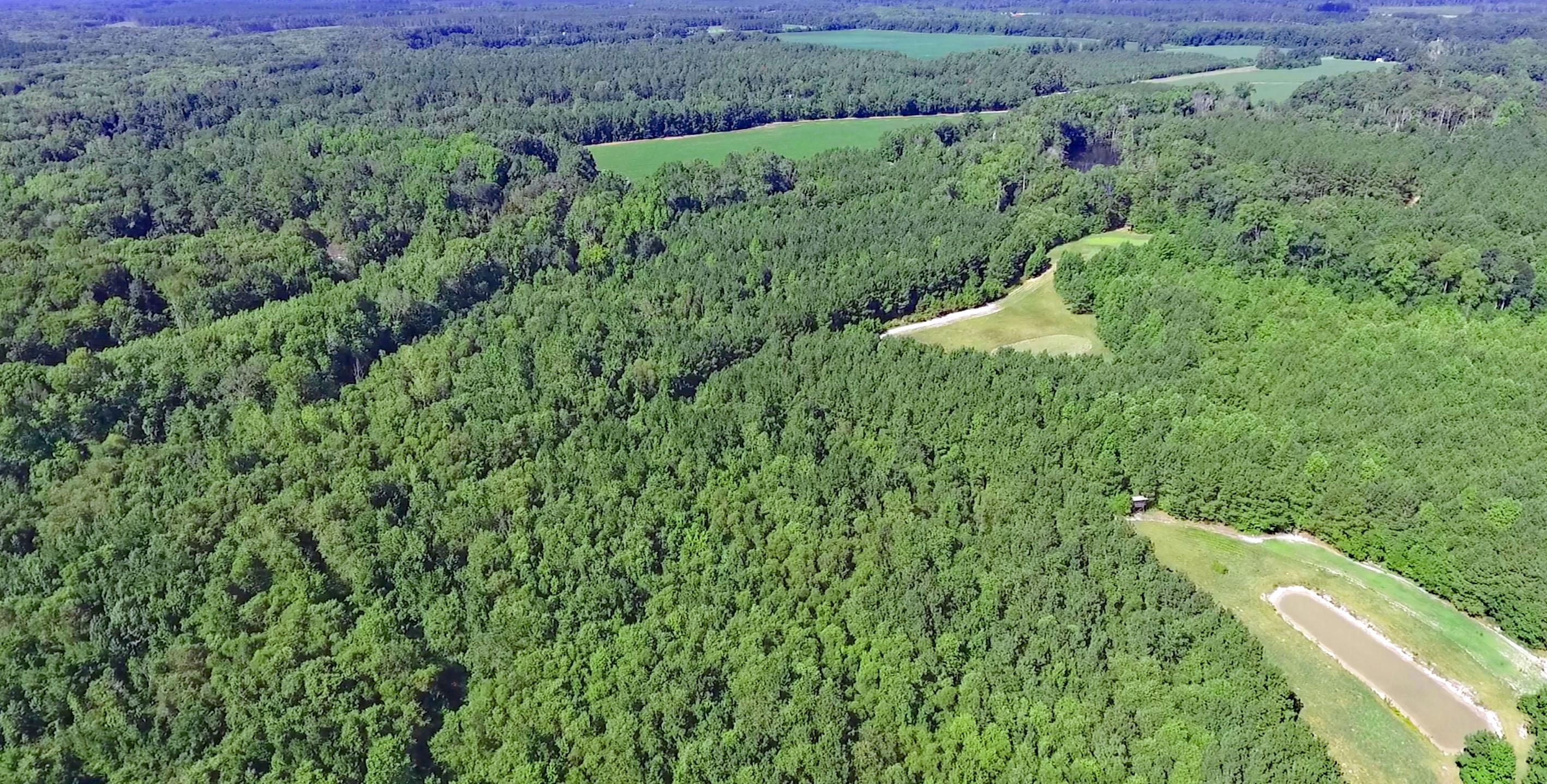 84.63 Acres, 3391 Cannon Bridge Road, Cordova, SC 29039 Land and Farm