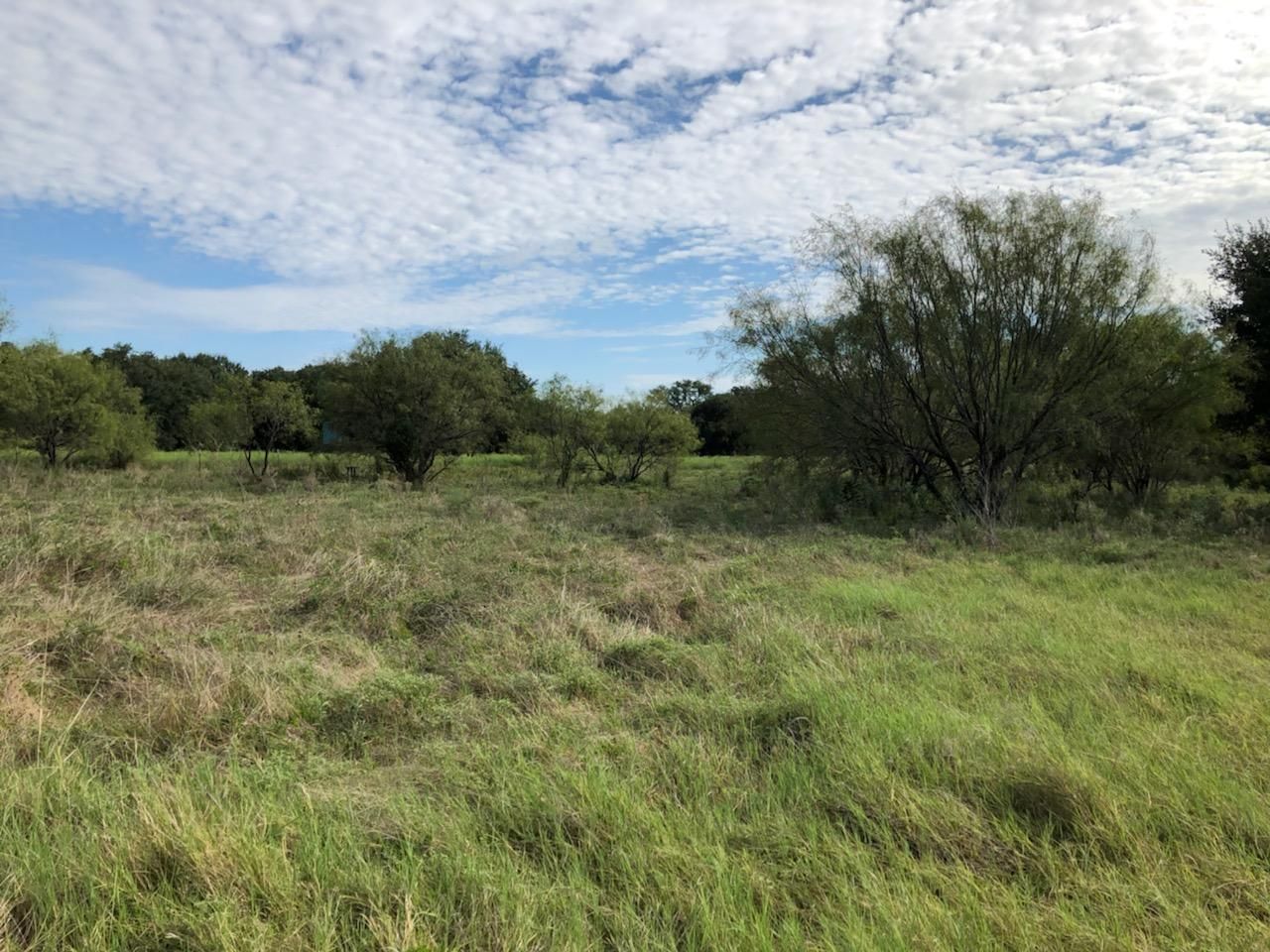 8241 Hwy 1689, Sidney, TX 76474 MLS 14186813 Land and Farm
