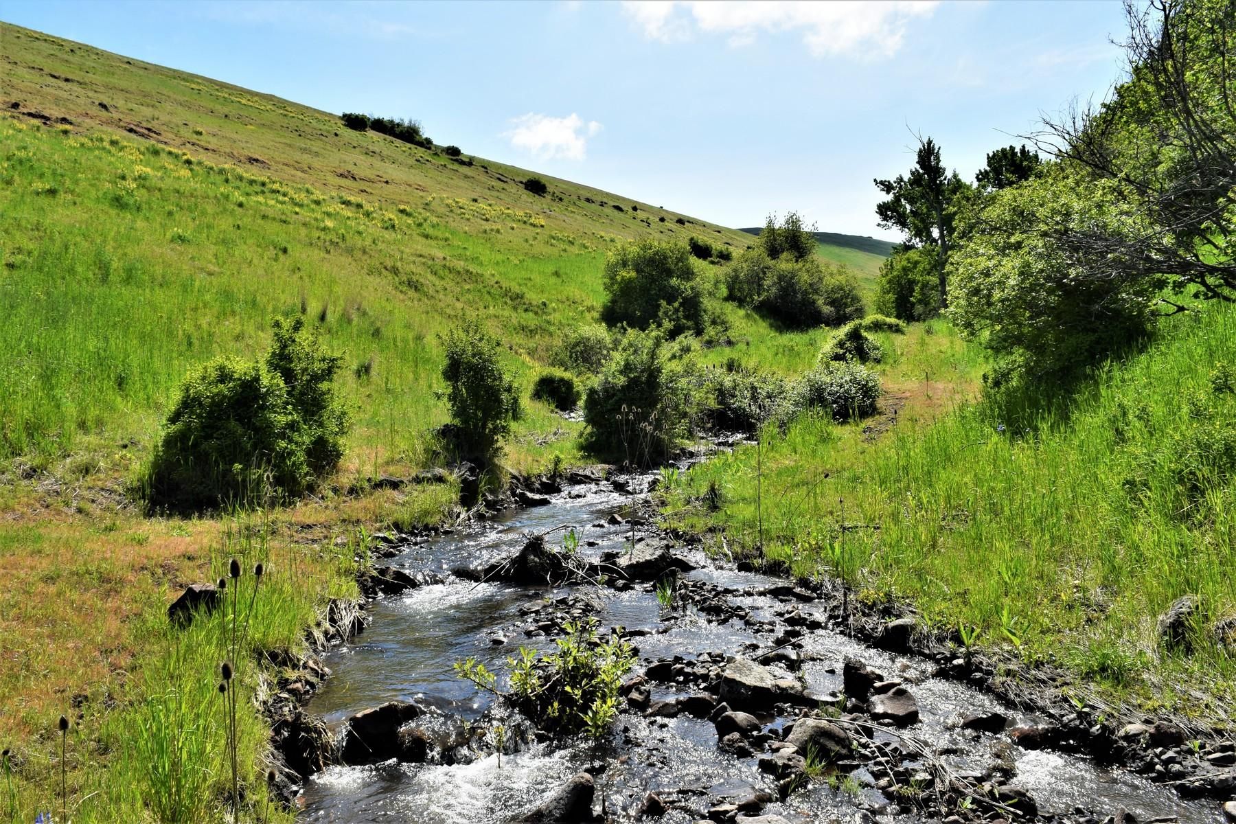 732 Acres, 70015 South Market Road, Pendleton, OR 97801 Land and Farm