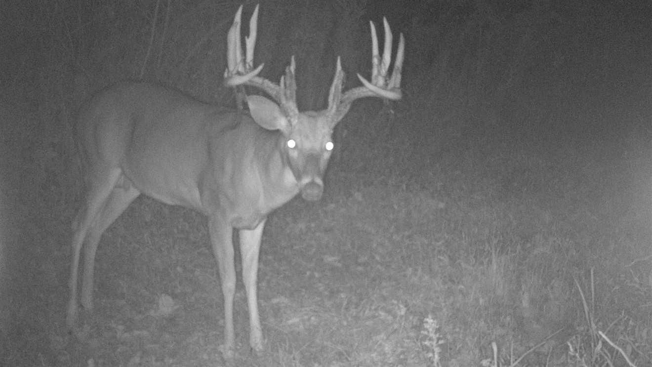 80 Acres, 450 N 100 W, Rochester, IN 46975 Land and Farm