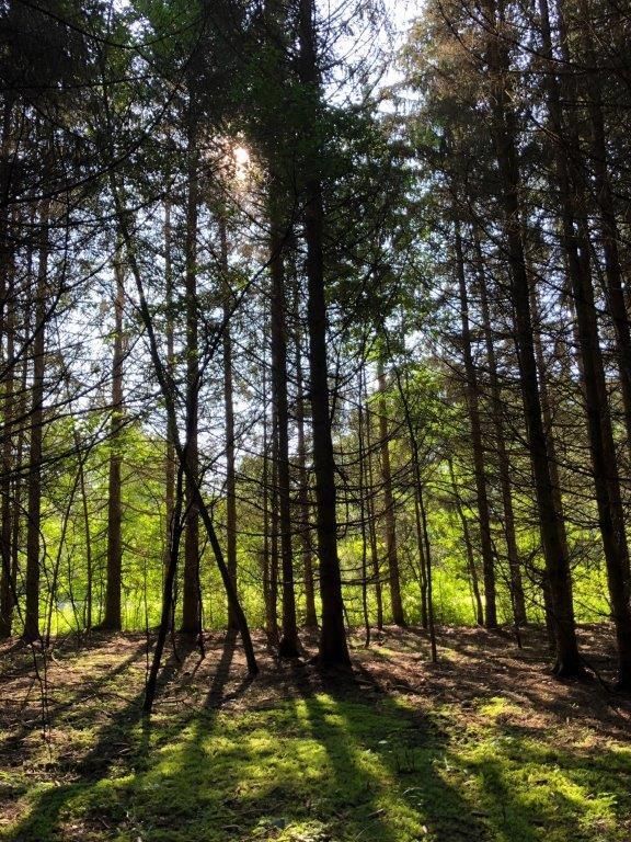 50 acres in Freeville, NY, 13068 Land and Farm